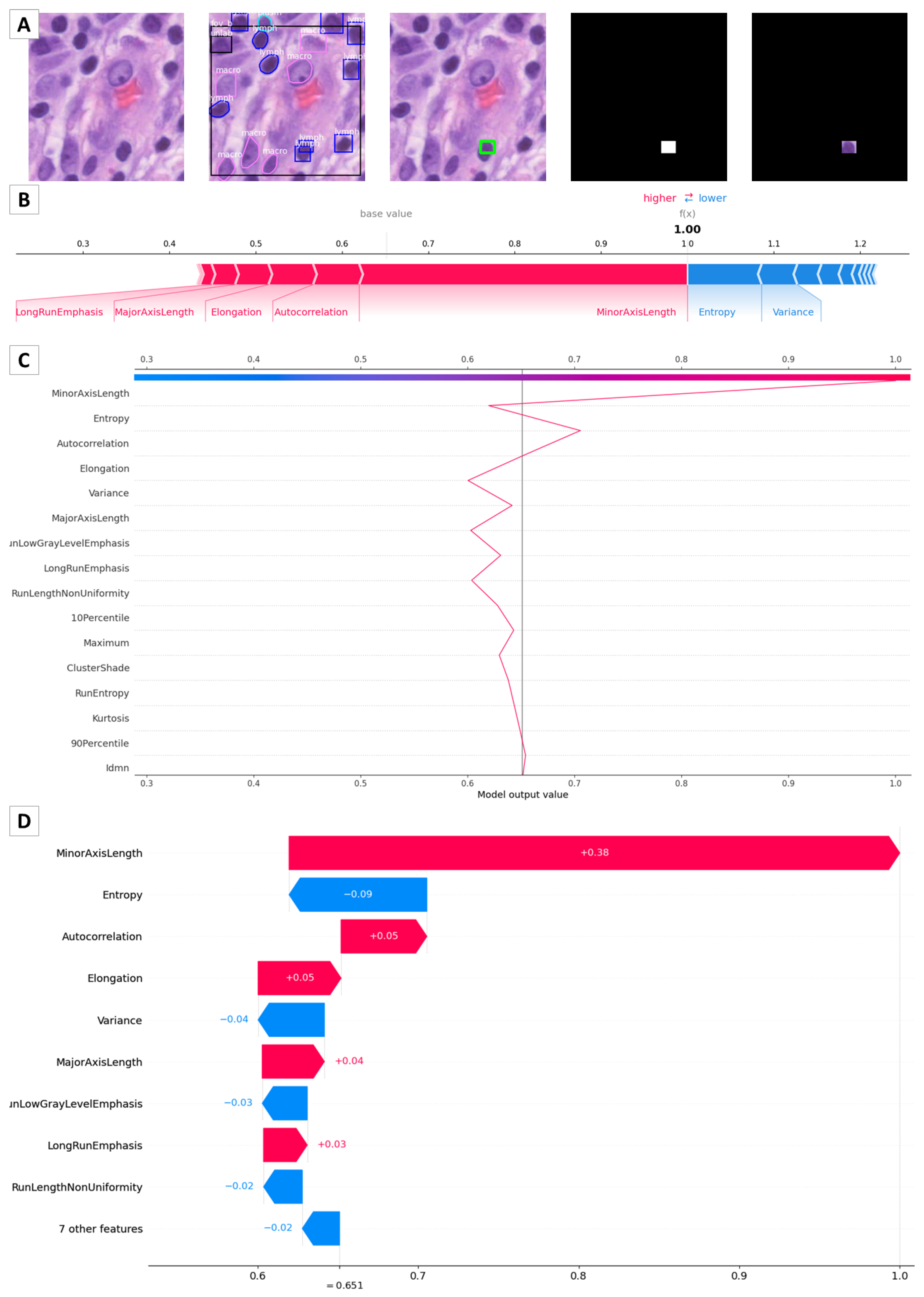 Bioengineering 10 00396 g008