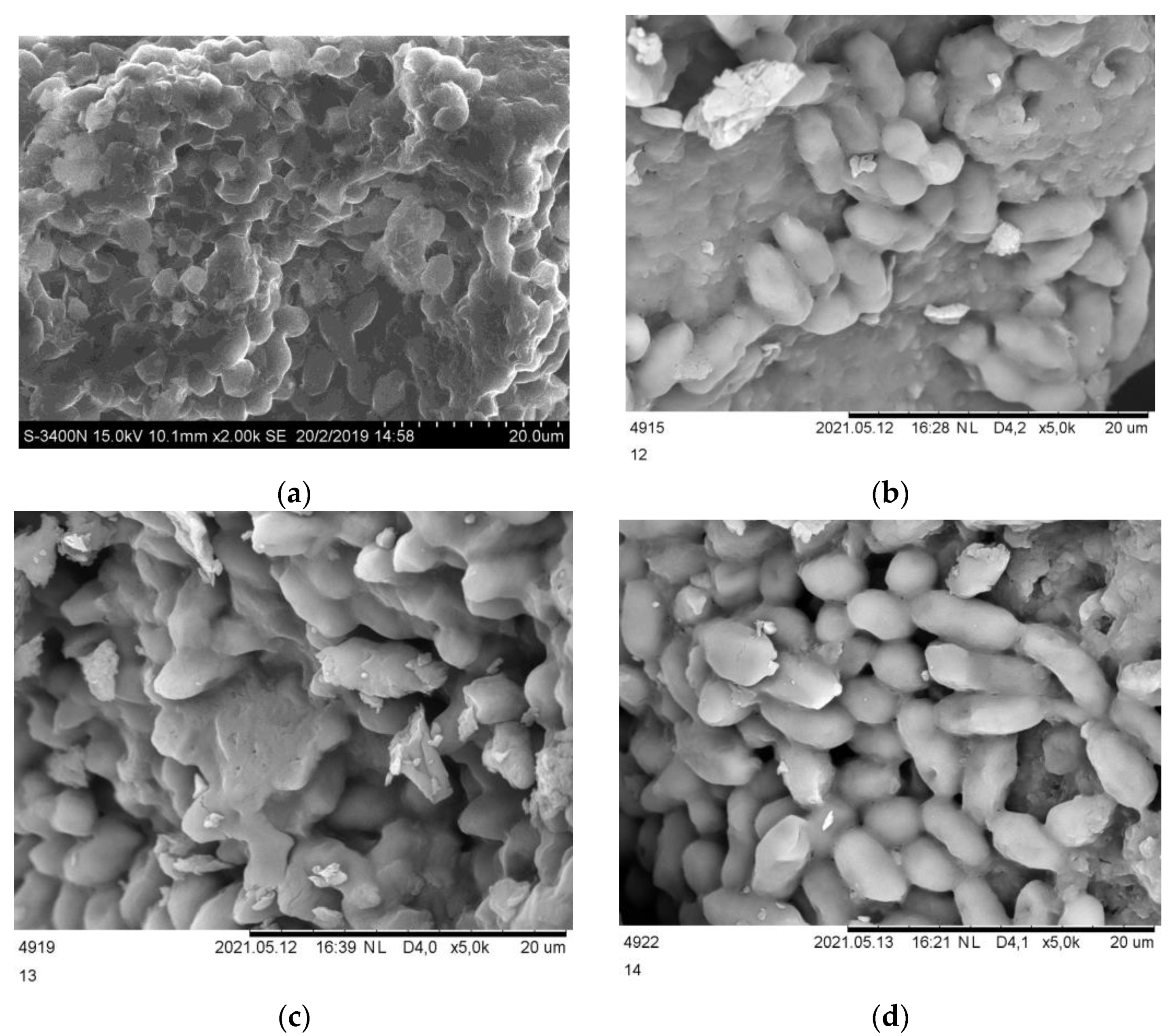 Bioengineering 10 00398 g002 Bioengineering 10 00398 g002