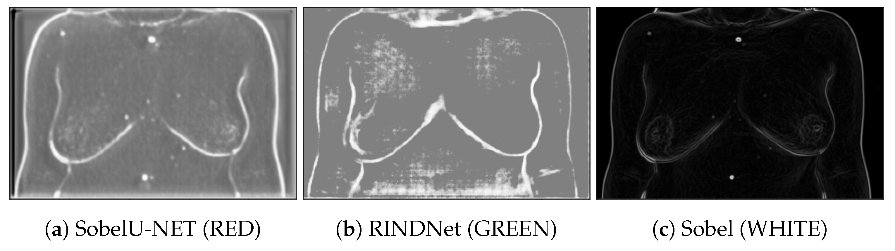 Bioengineering 10 00401 g004