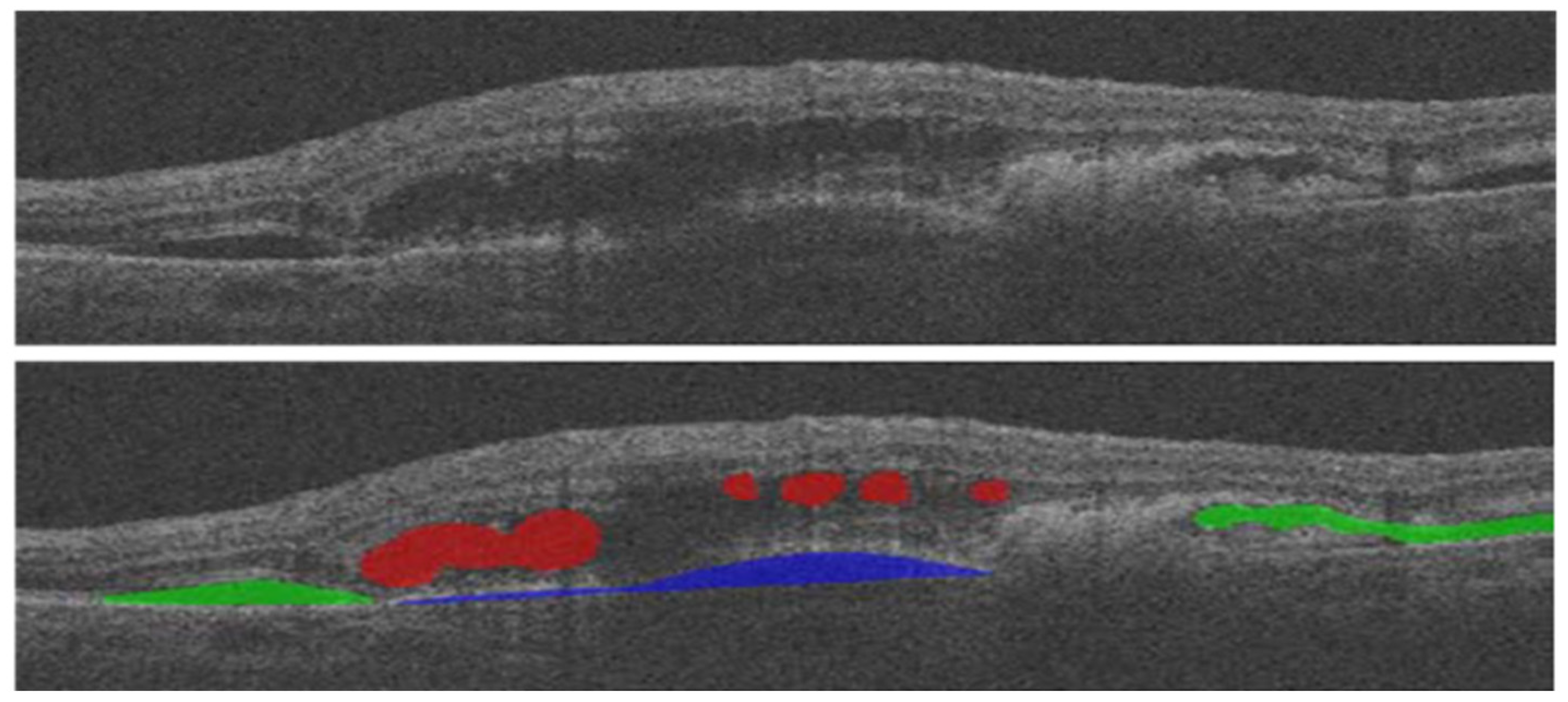 Bioengineering 10 00407 g015 Bioengineering 10 00407 g015