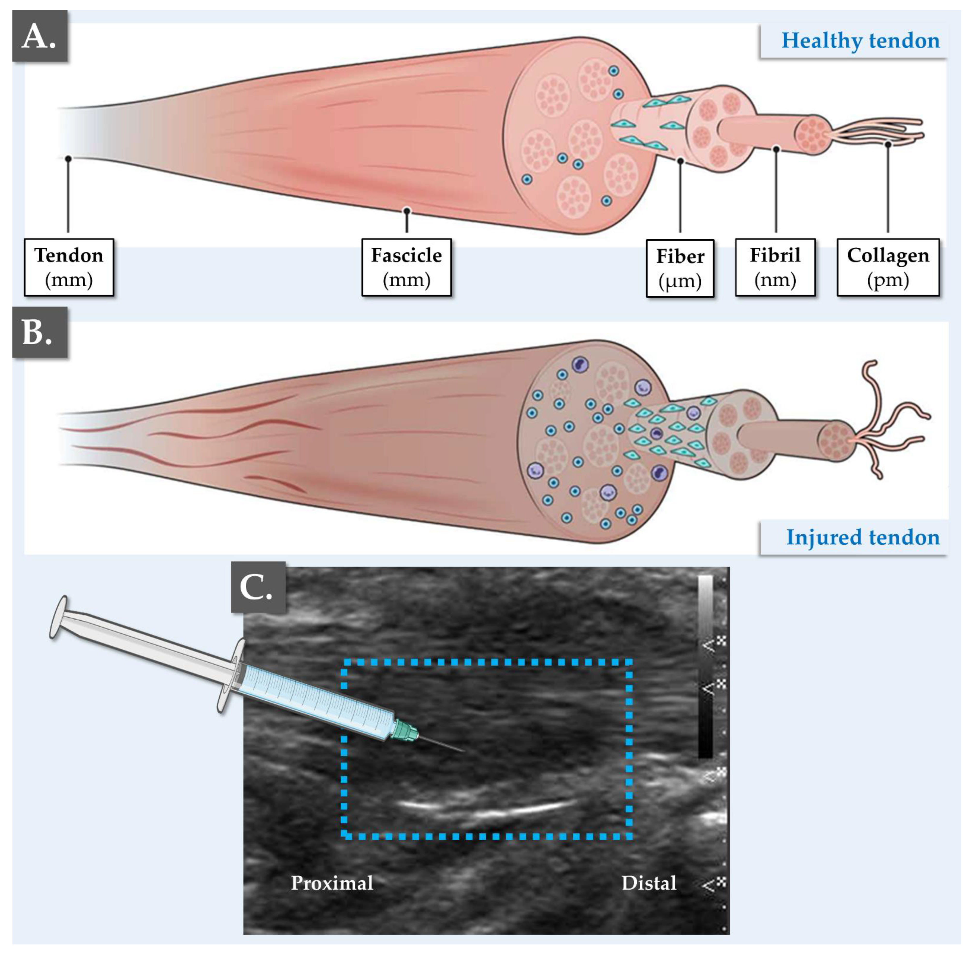 Bioengineering 10 00409 g003 Bioengineering 10 00409 g003