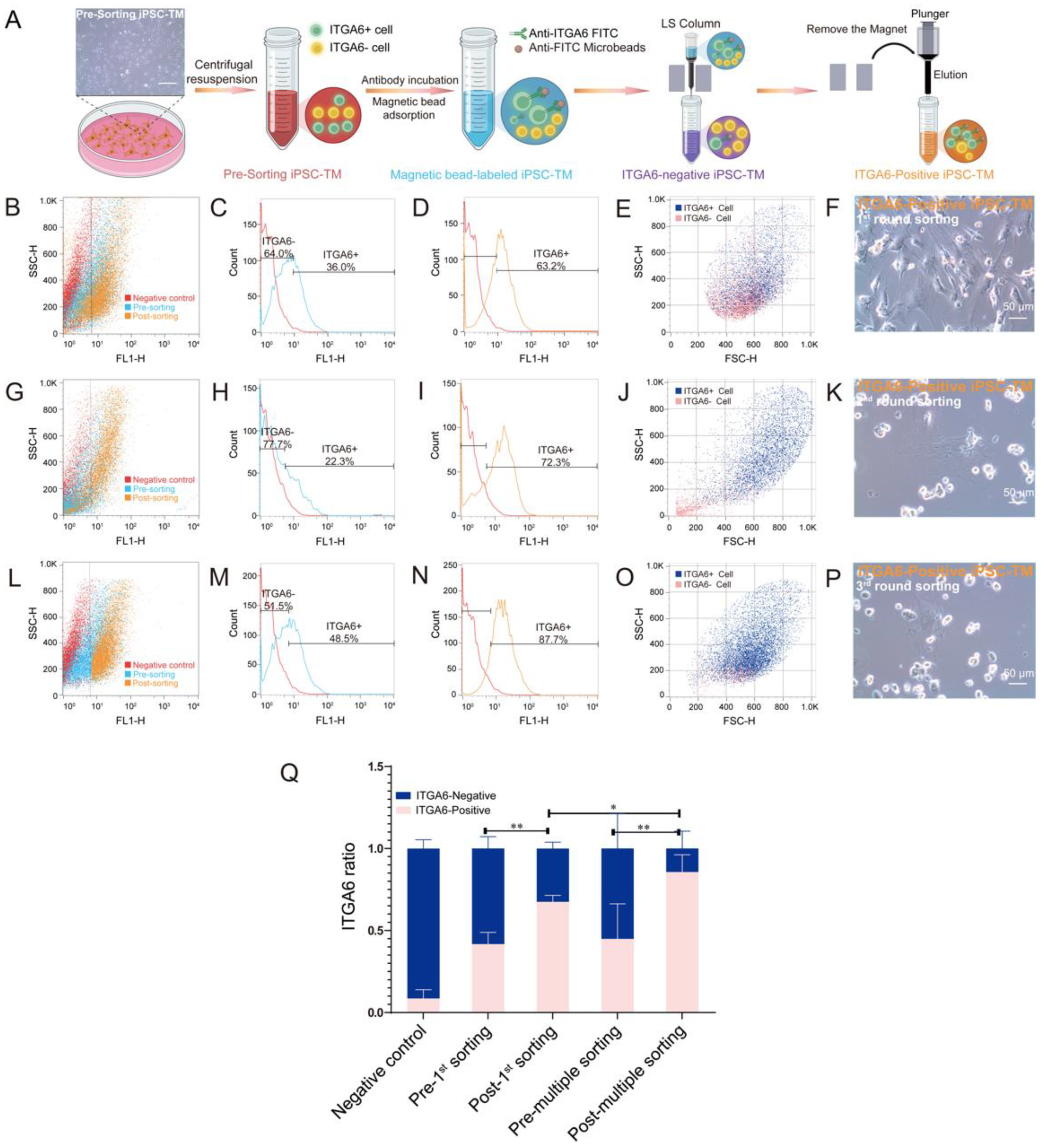 Bioengineering 10 00410 g002 Bioengineering 10 00410 g002