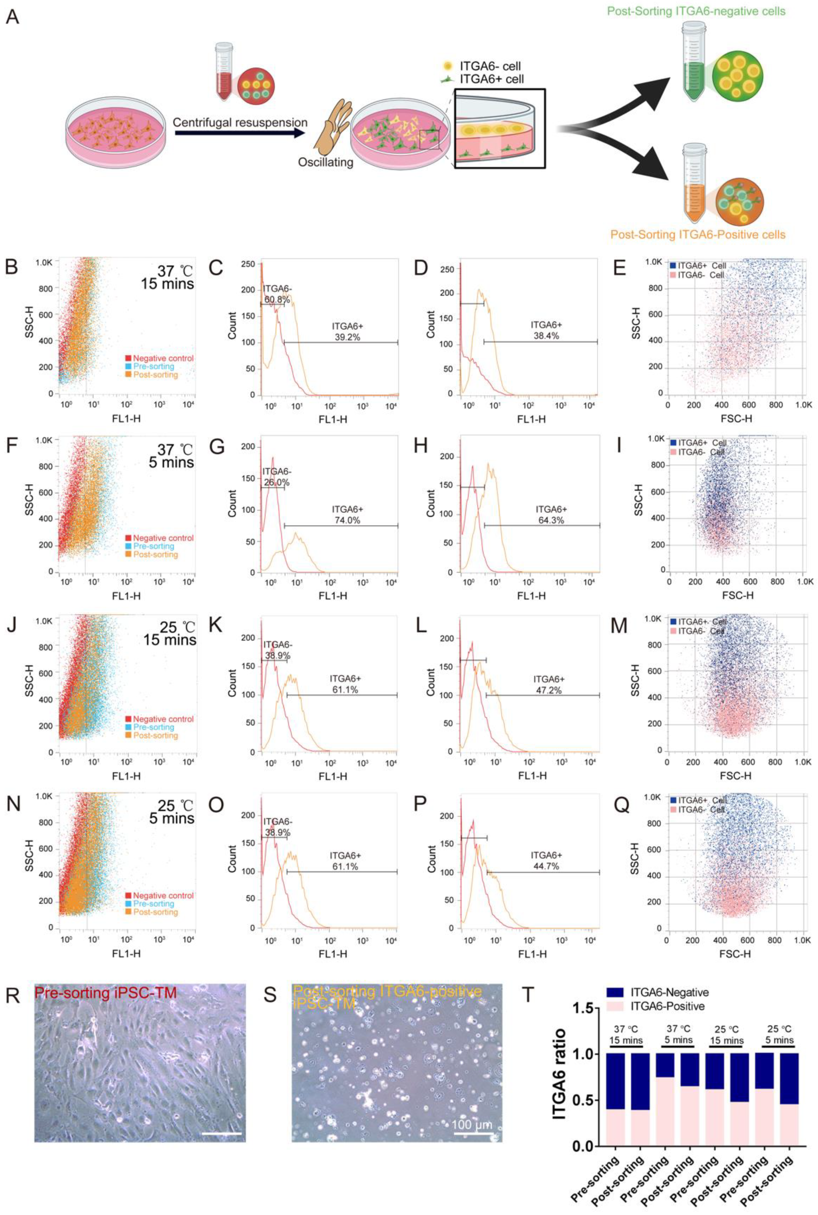 Bioengineering 10 00410 g004 Bioengineering 10 00410 g004