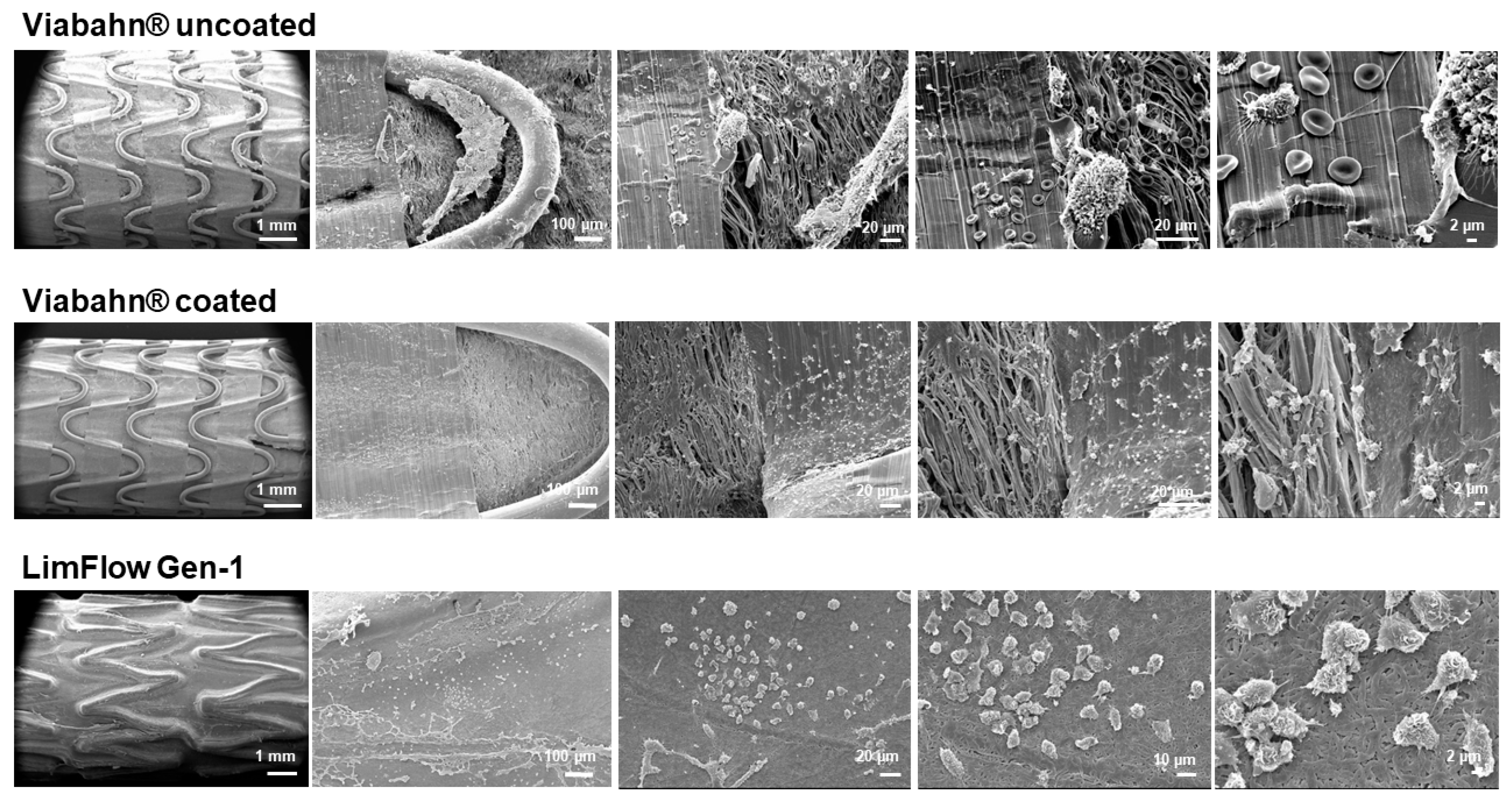 Bioengineering 10 00411 g009 Bioengineering 10 00411 g009