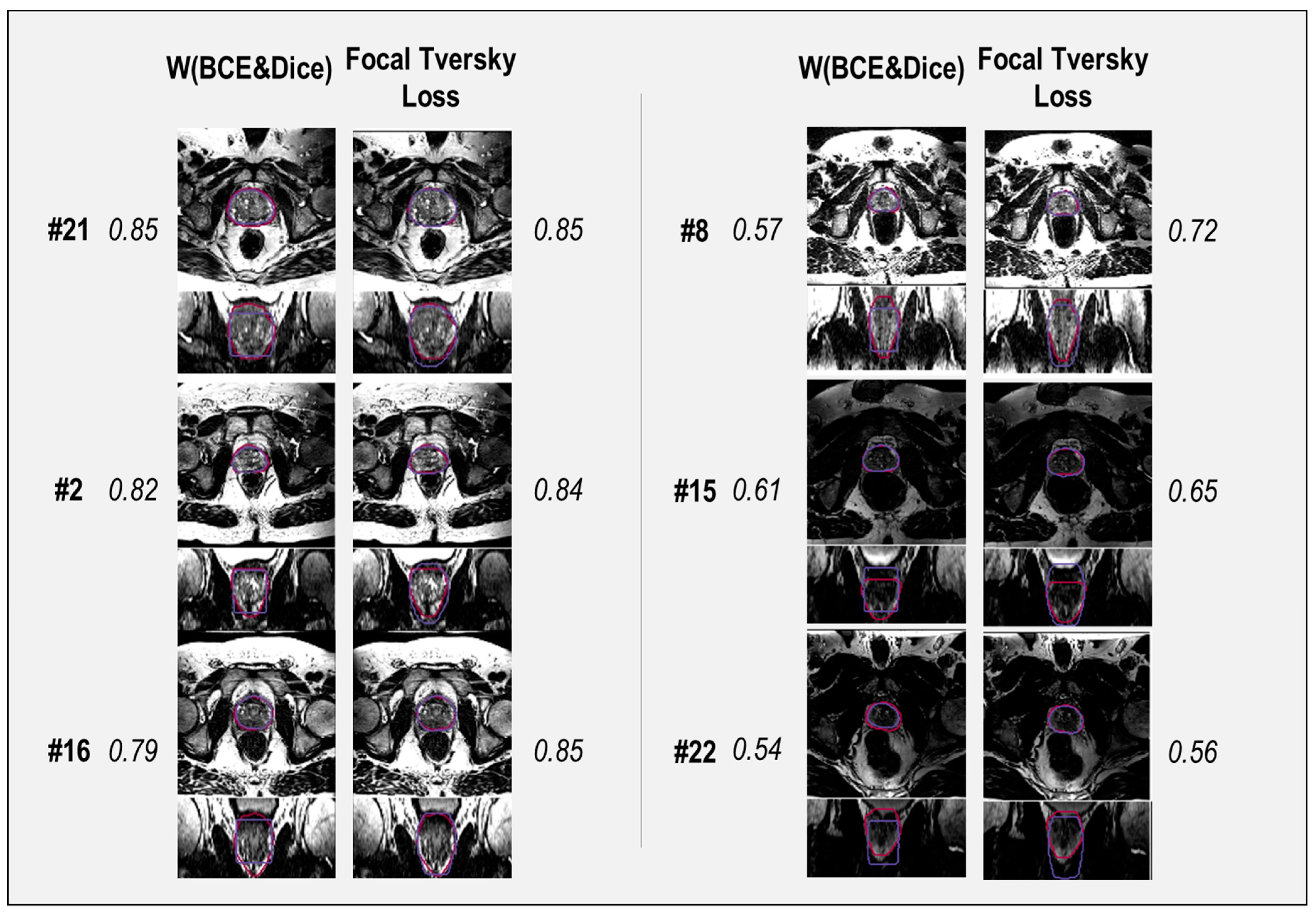Bioengineering 10 00412 g009
