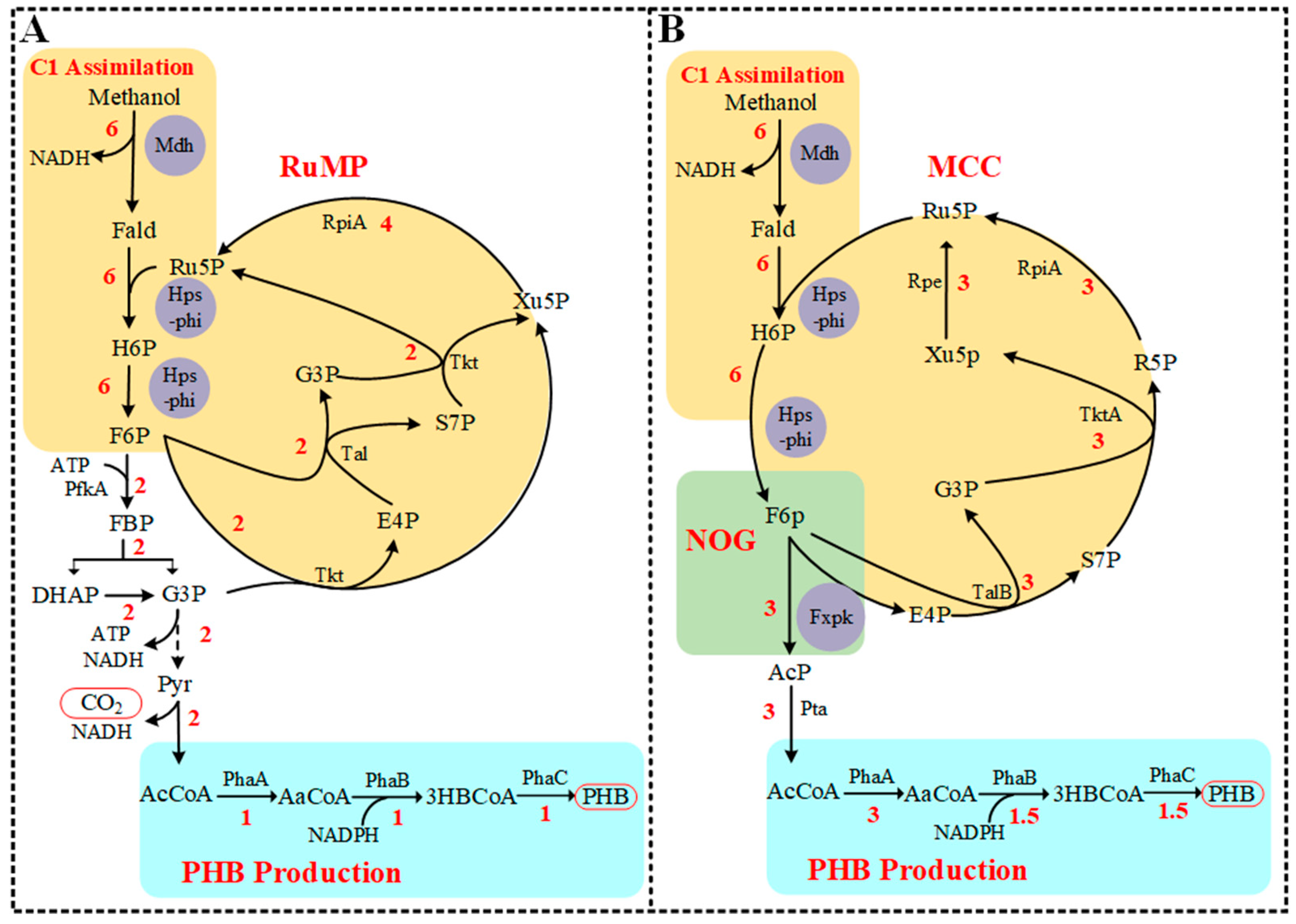 Bioengineering 10 00415 g001 Bioengineering 10 00415 g001