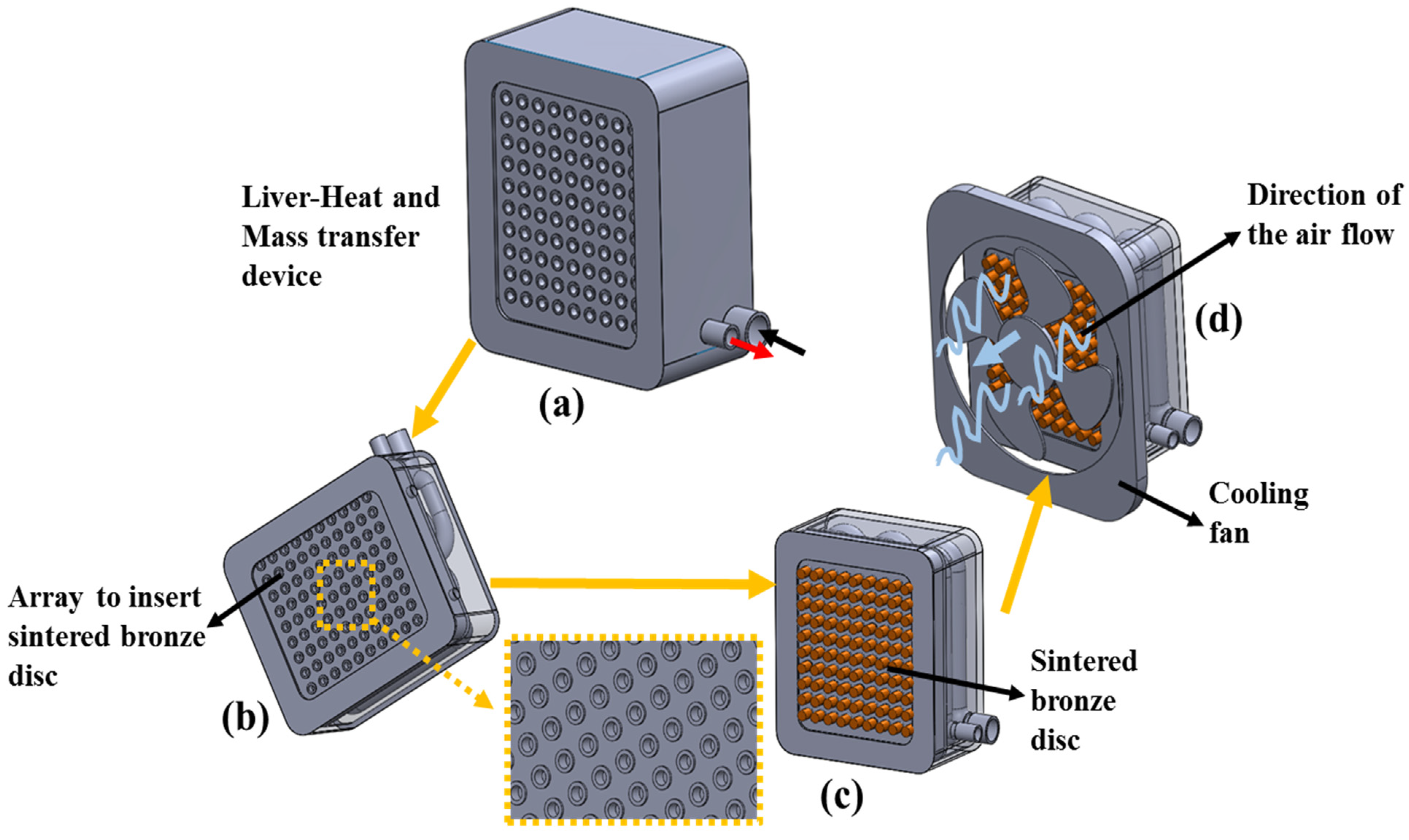 Bioengineering 10 00416 g003 Bioengineering 10 00416 g003