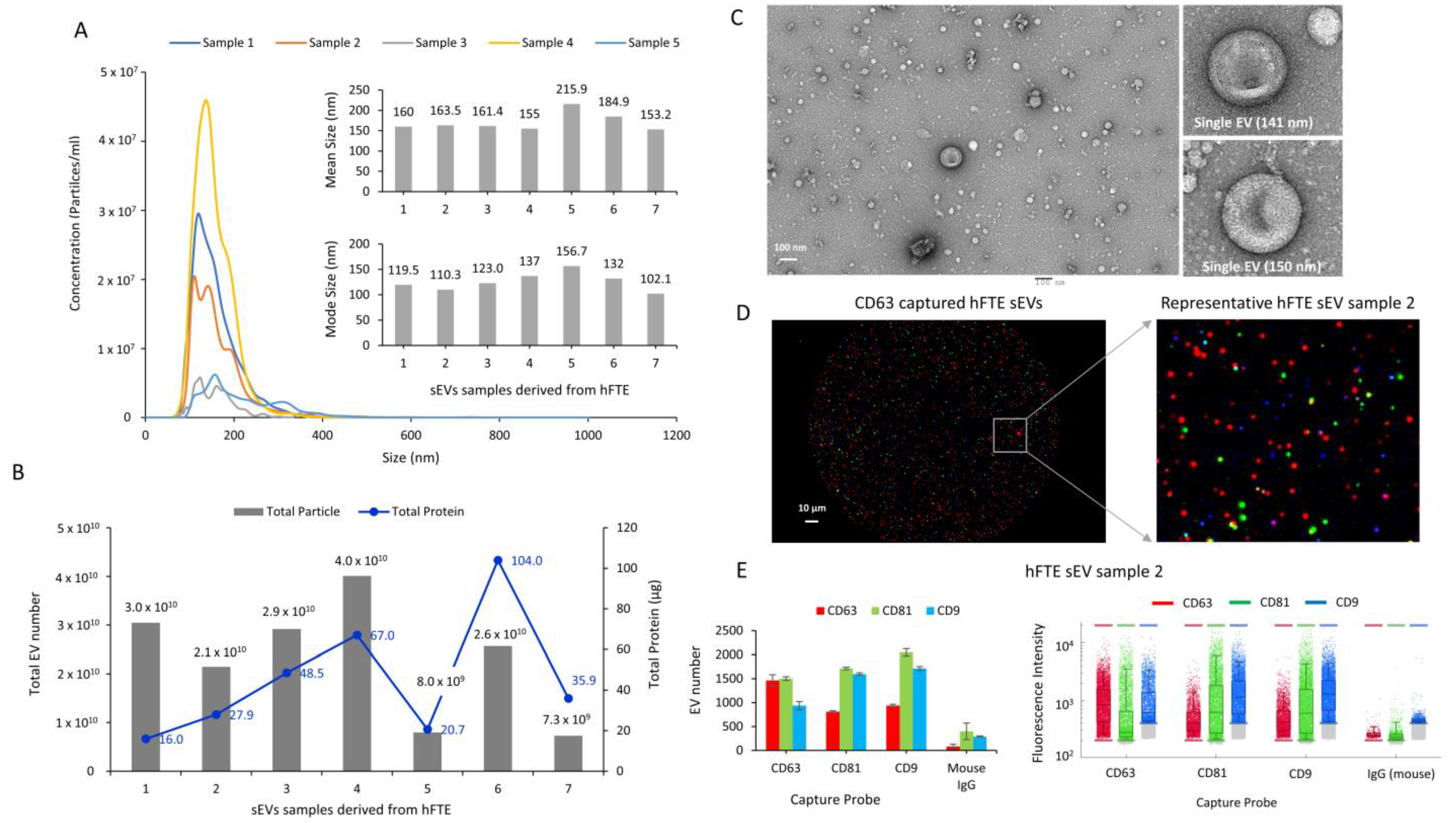 Bioengineering 10 00423 g002 Bioengineering 10 00423 g002