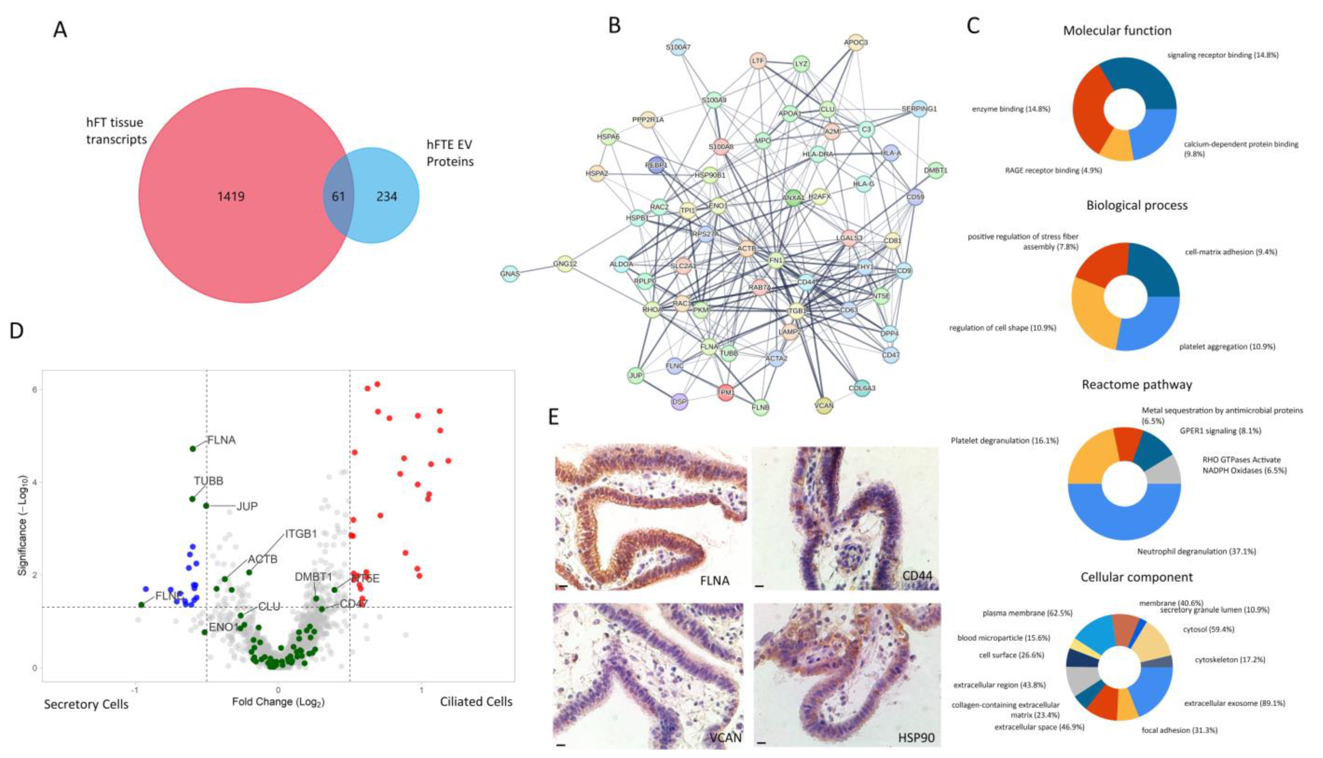 Bioengineering 10 00423 g005 Bioengineering 10 00423 g005