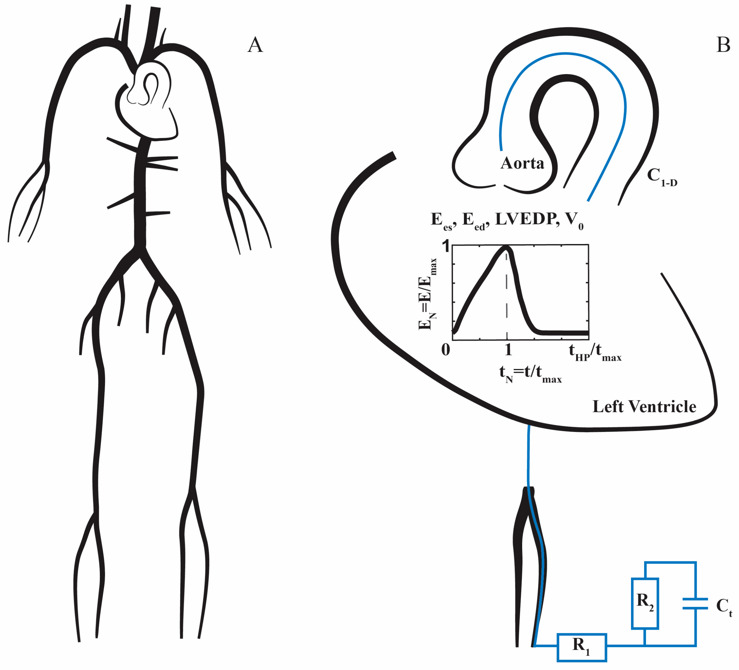Bioengineering 10 00425 g001 Bioengineering 10 00425 g001