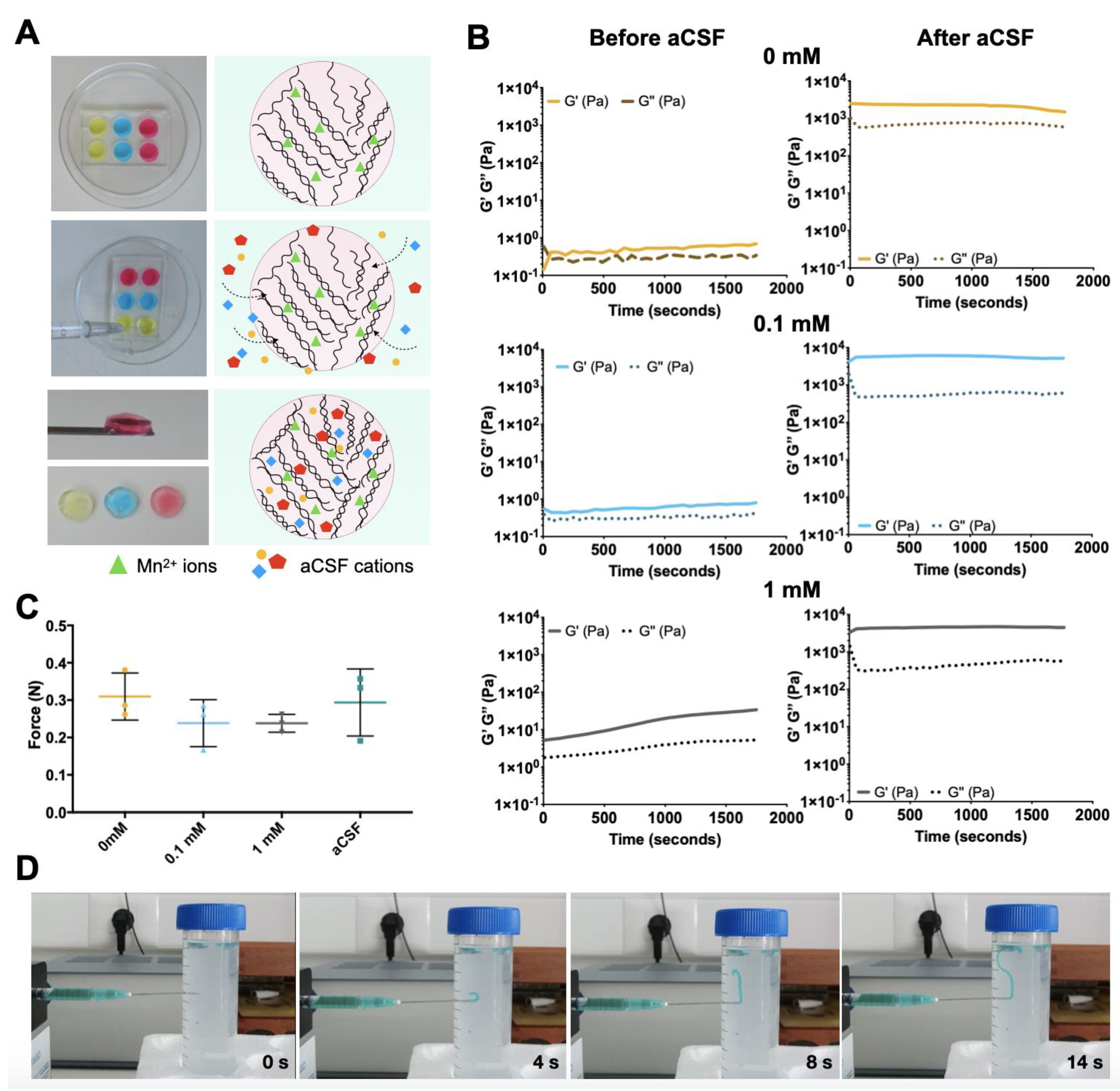 Bioengineering 10 00427 g001