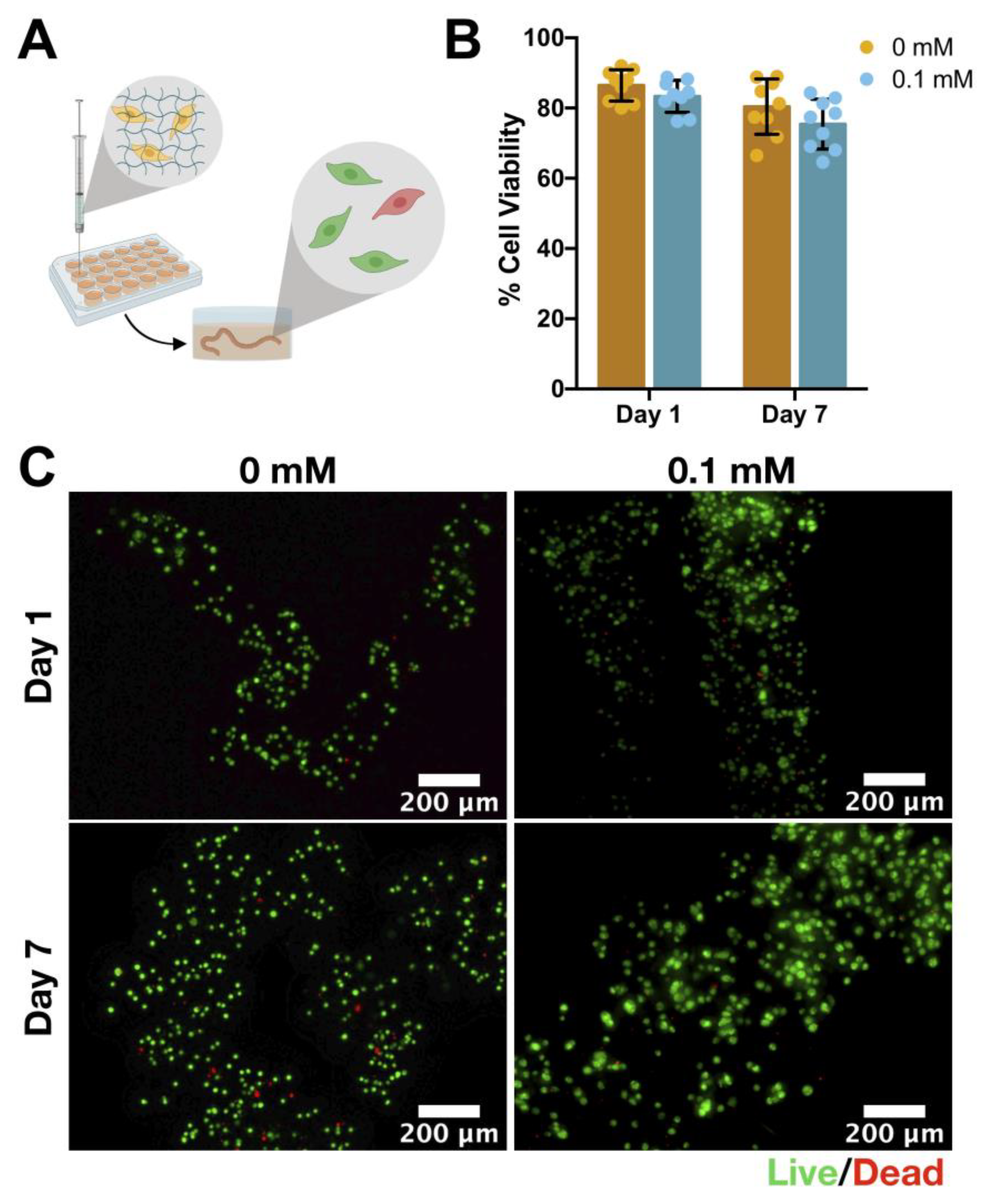 Bioengineering 10 00427 g003