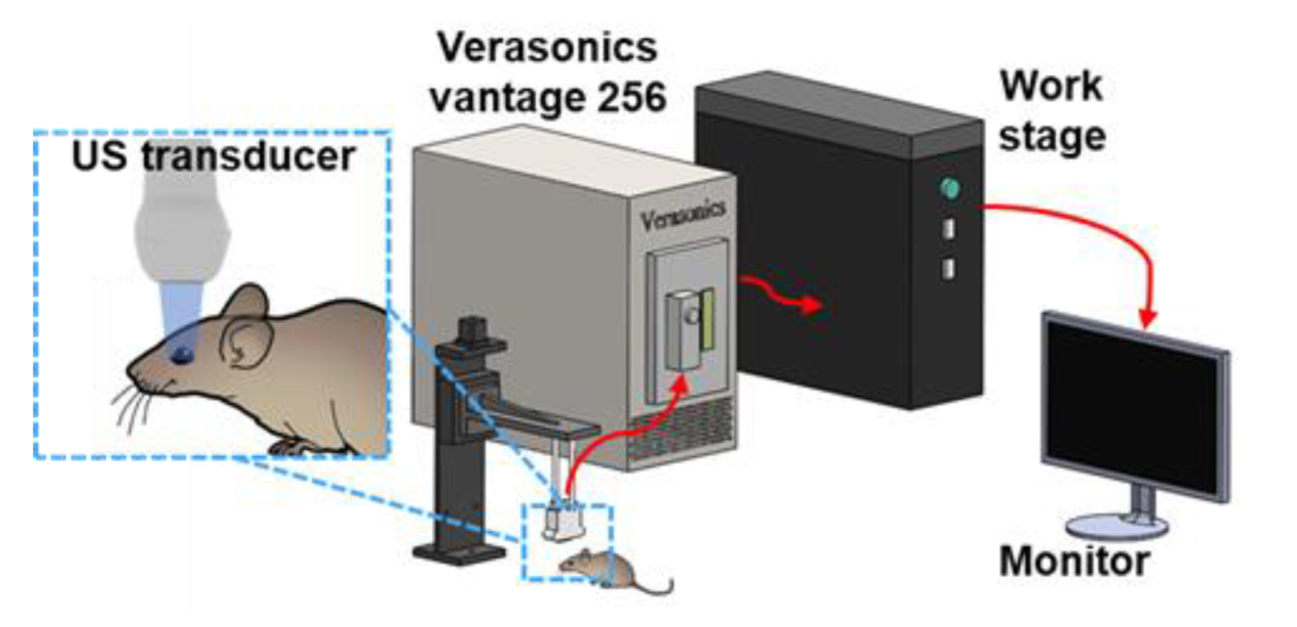 Bioengineering 10 00428 g001