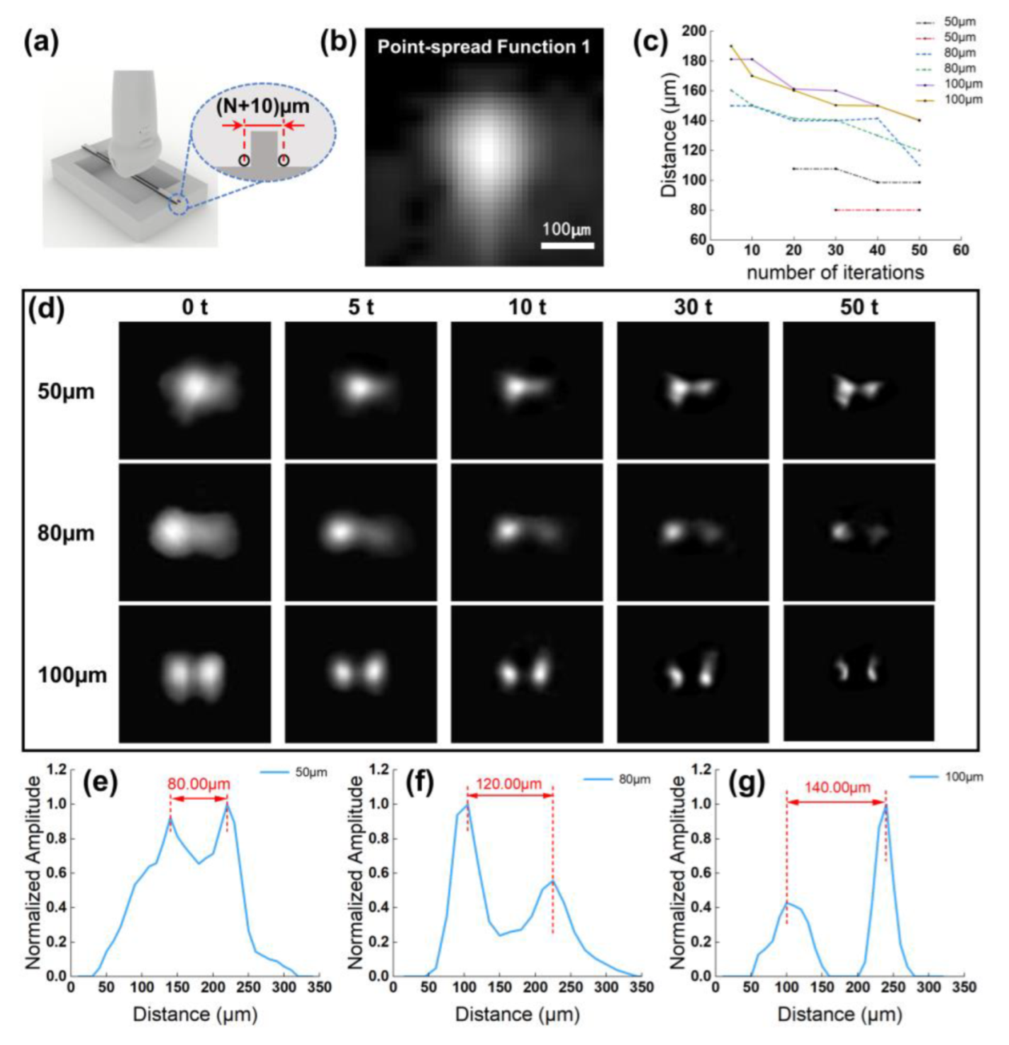 Bioengineering 10 00428 g003