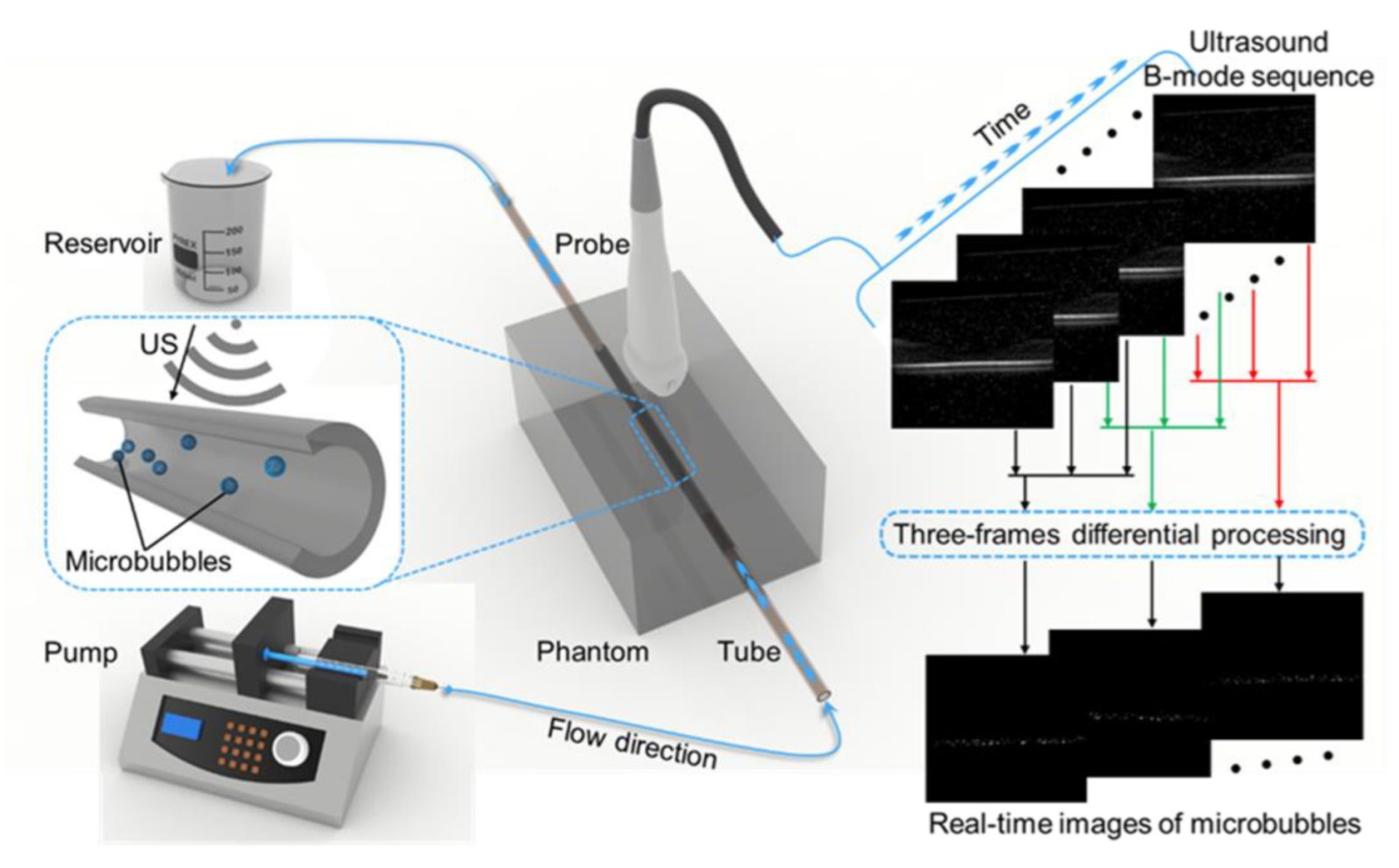 Bioengineering 10 00428 g004
