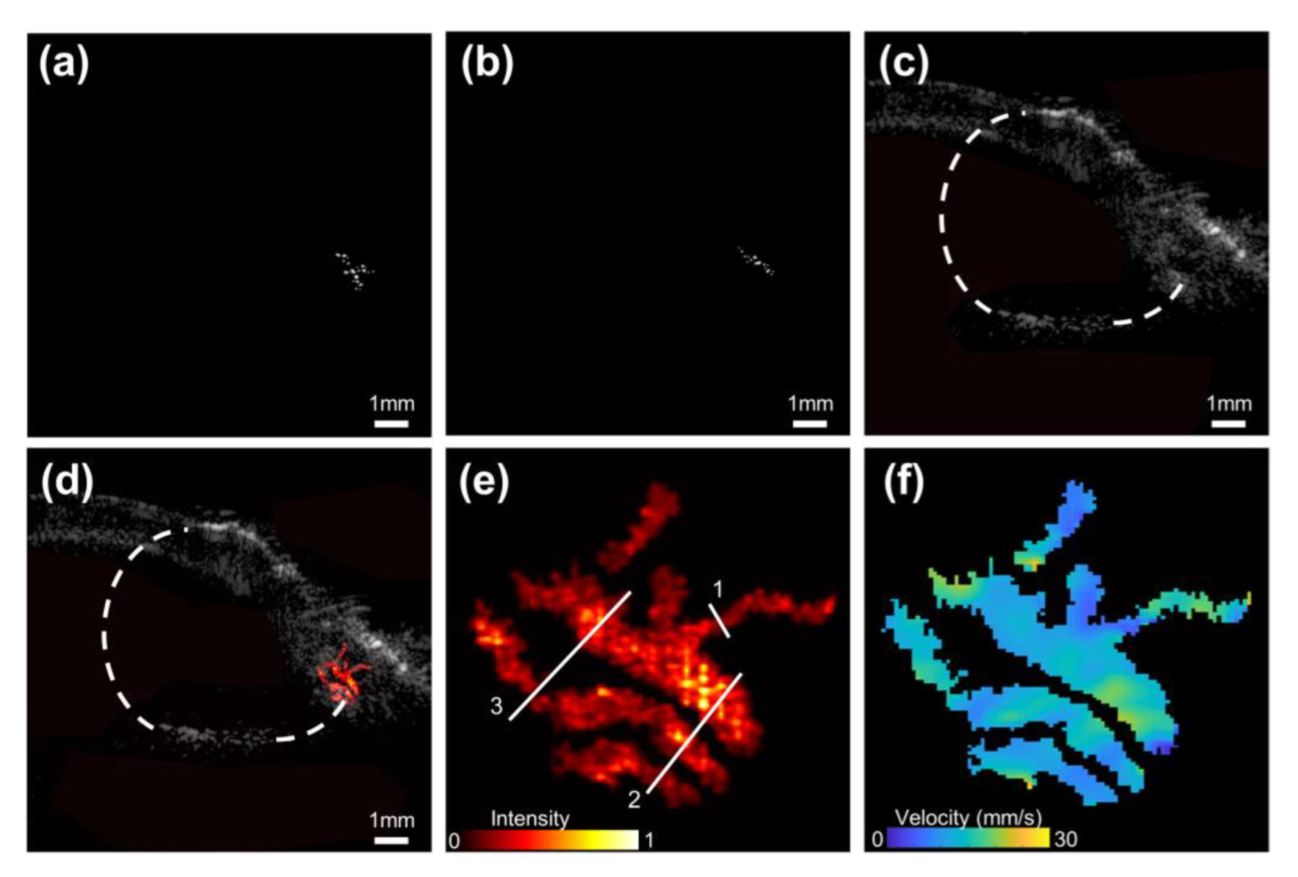 Bioengineering 10 00428 g009