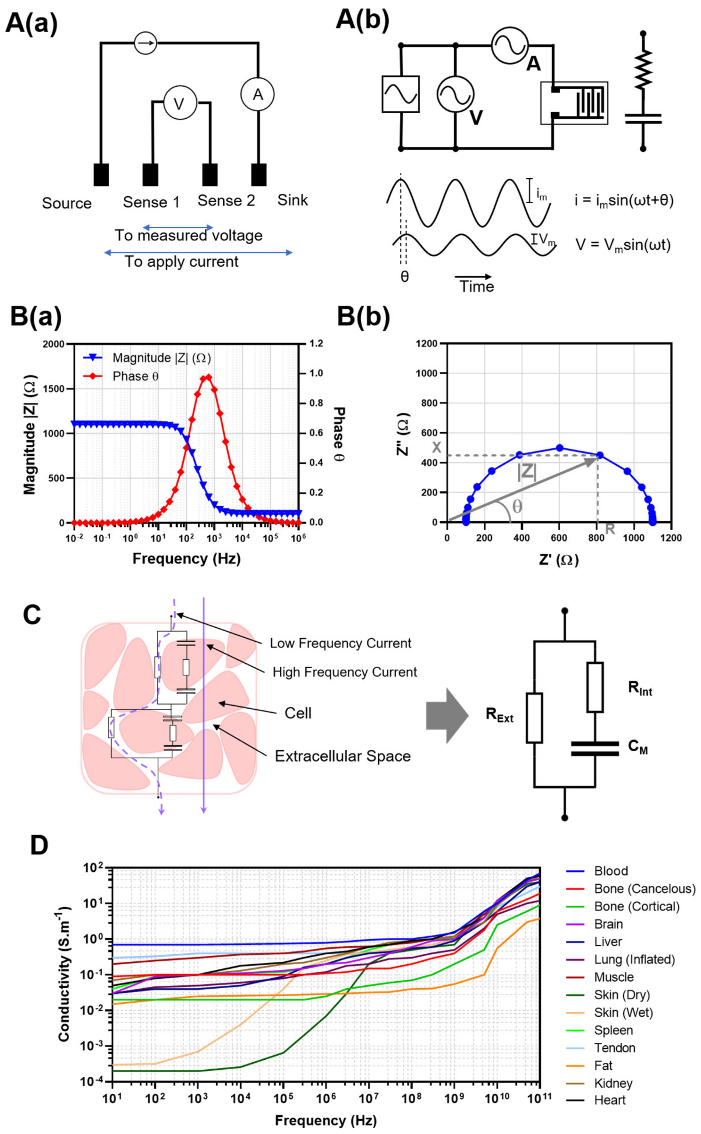Bioengineering 10 00434 g001