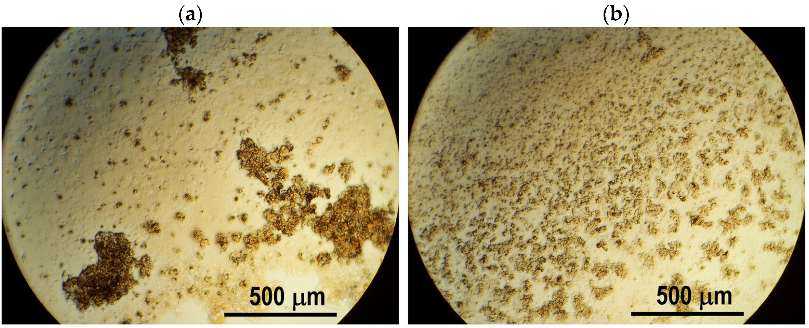 Bioengineering 10 00437 g002