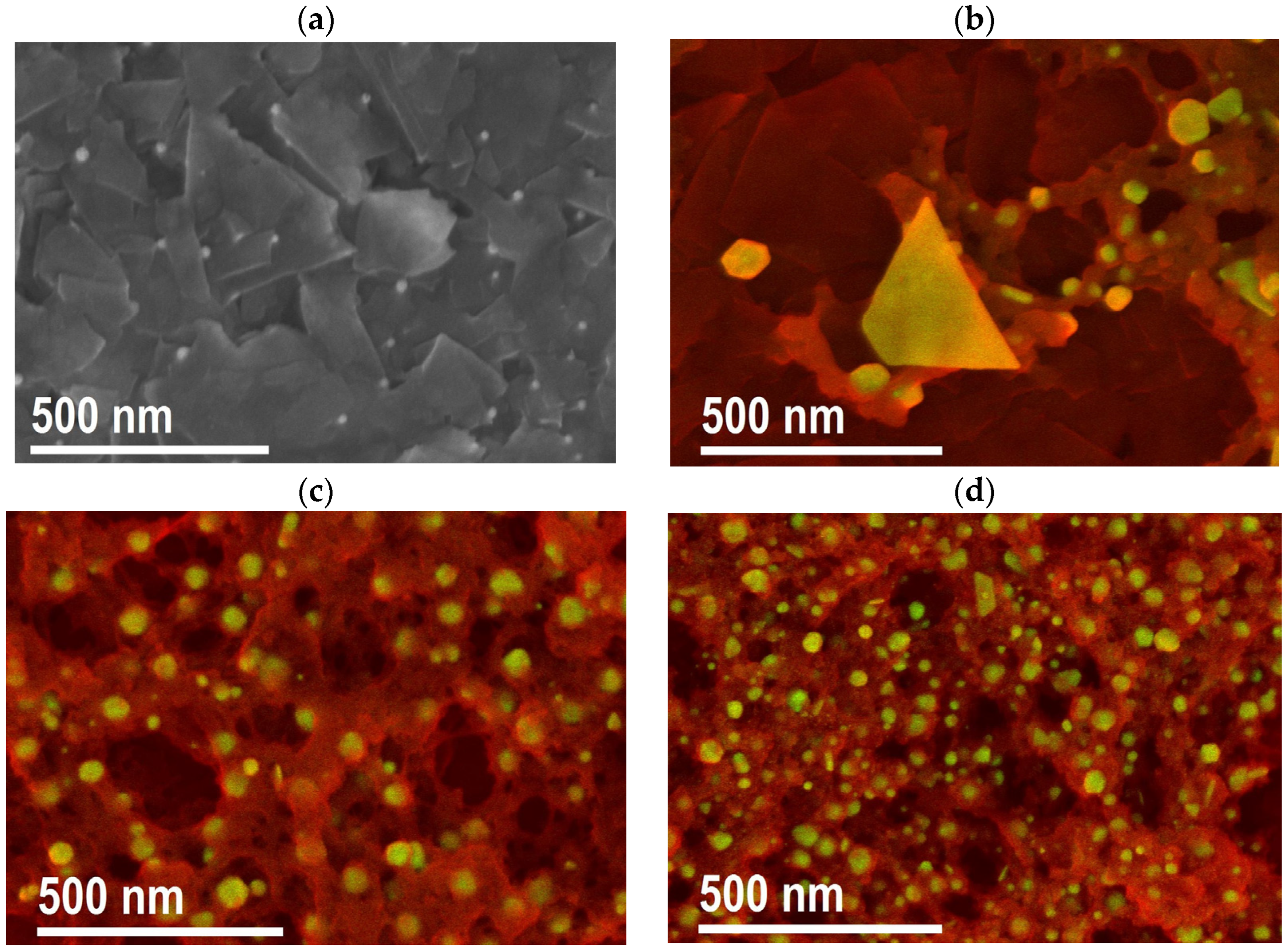 Bioengineering 10 00437 g004