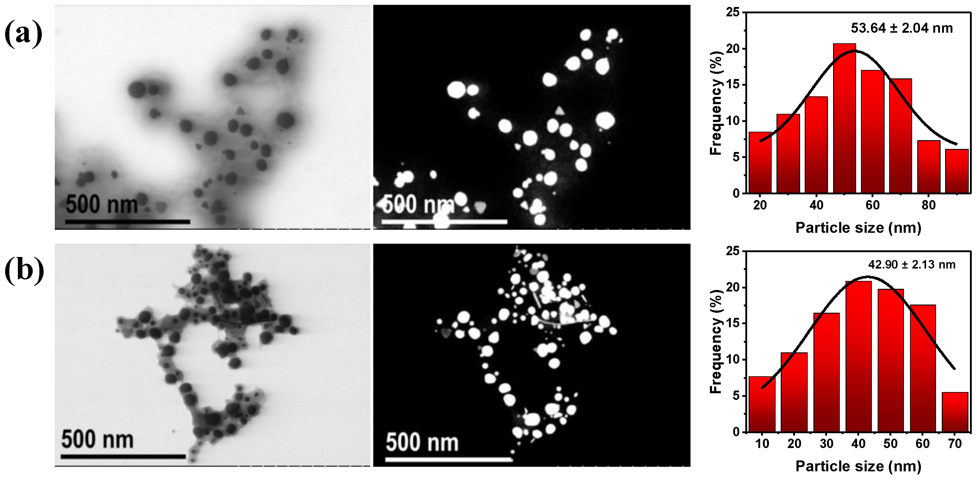 Bioengineering 10 00437 g006