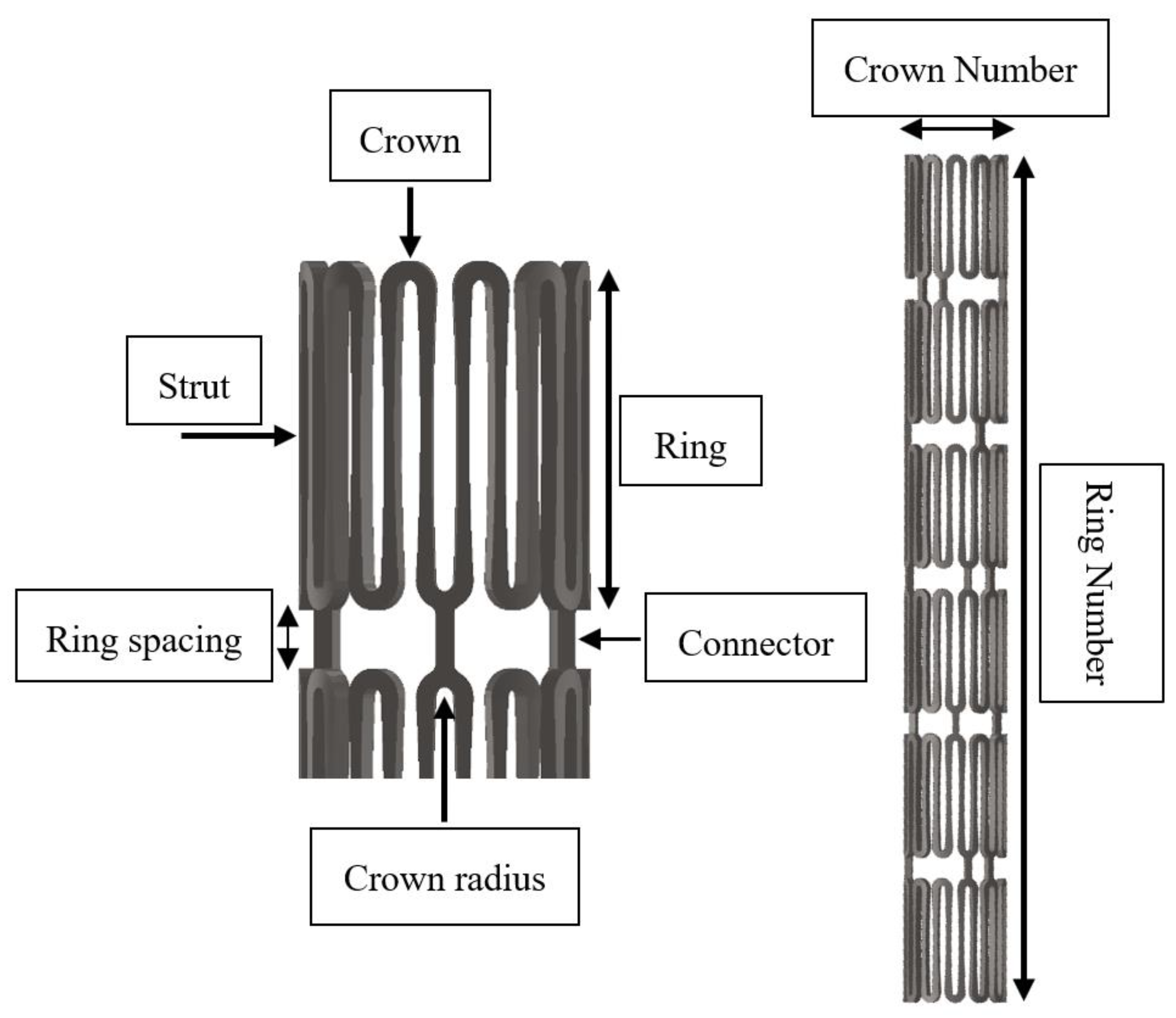 Bioengineering 10 00443 g002
