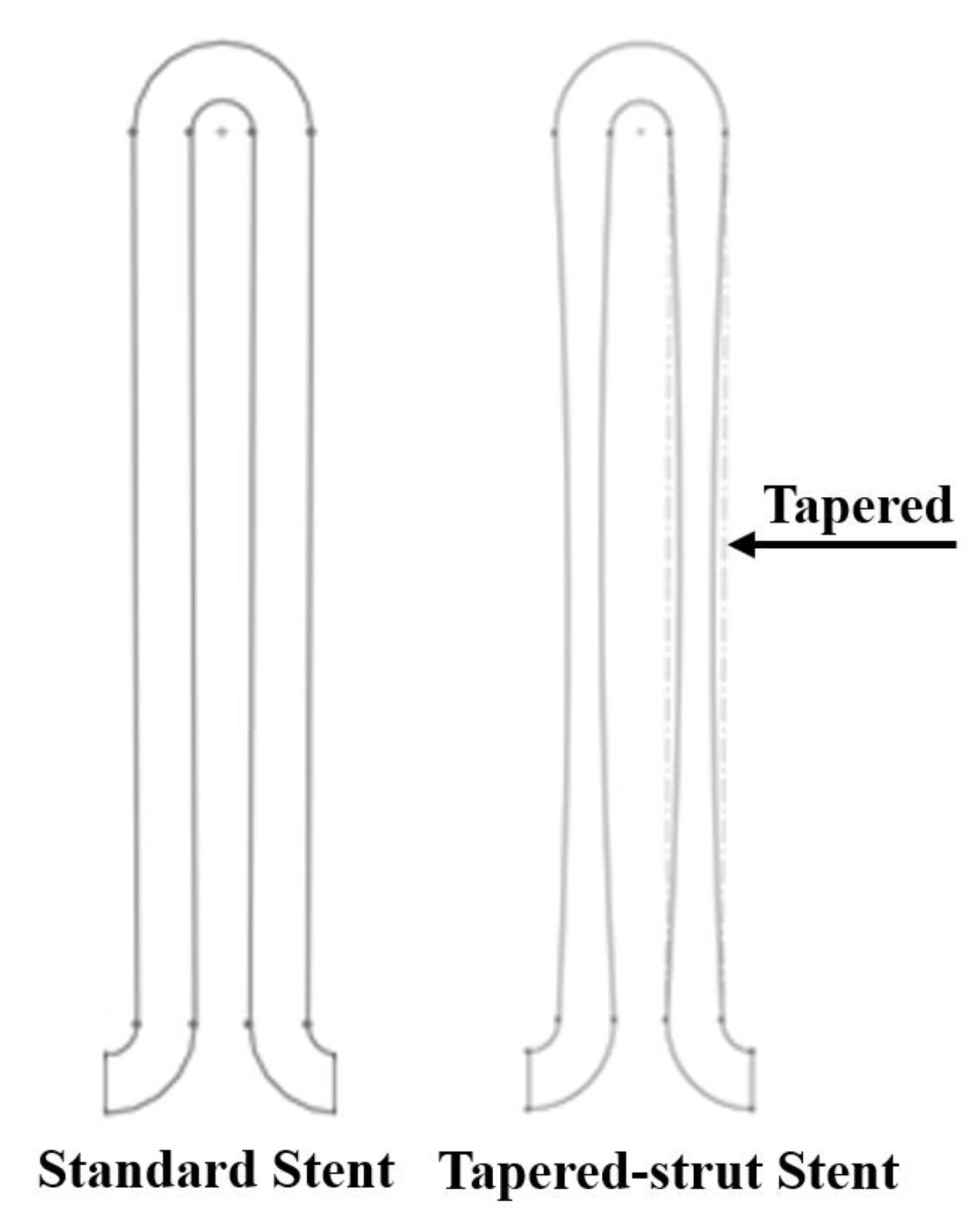 Bioengineering 10 00443 g003