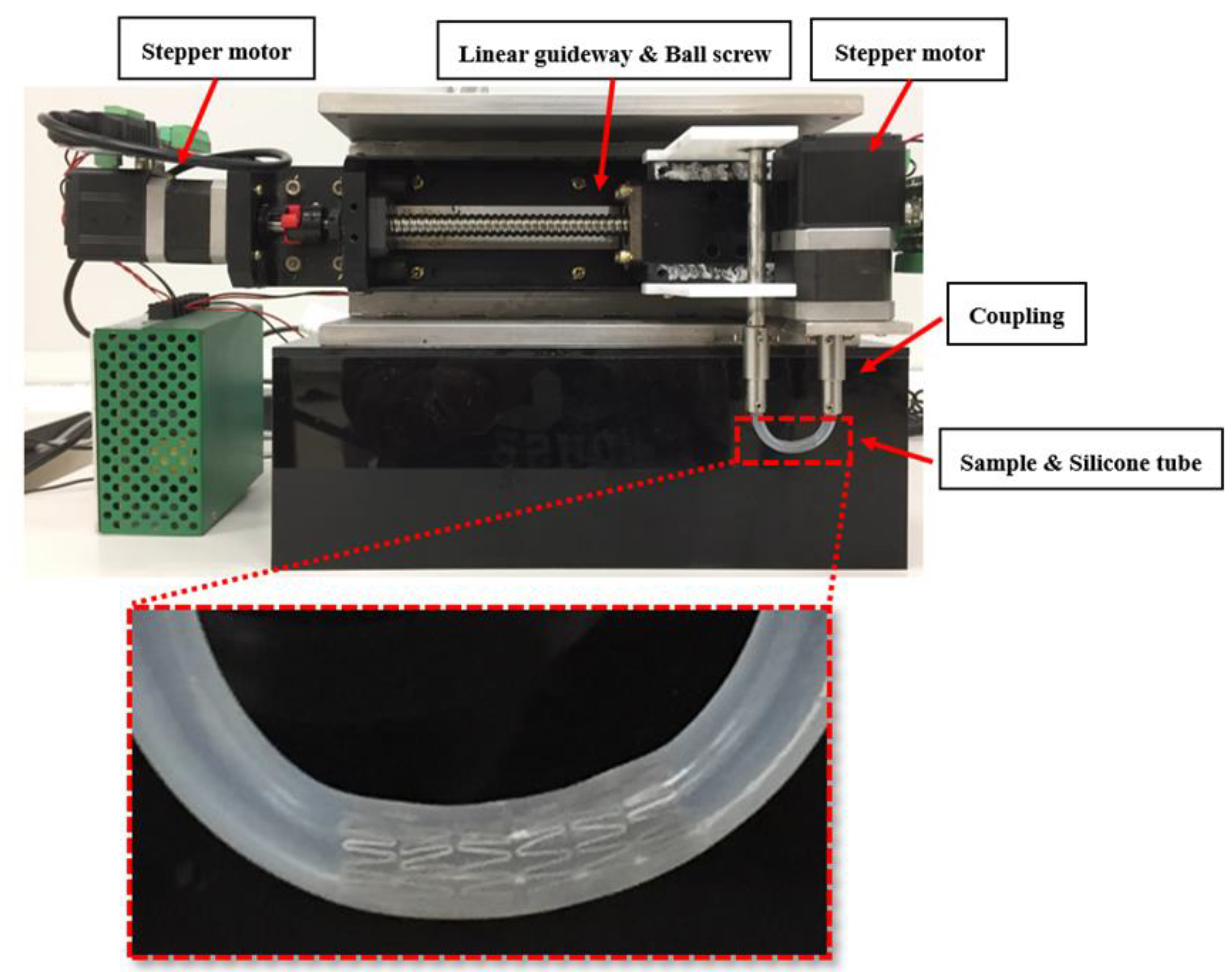 Bioengineering 10 00443 g006