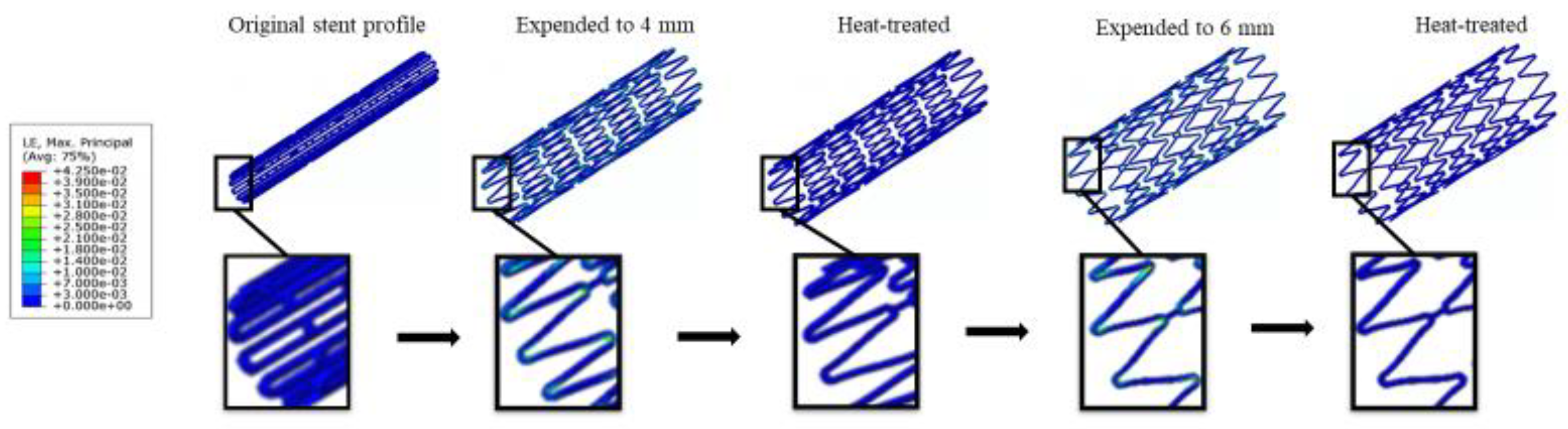Bioengineering 10 00443 g007