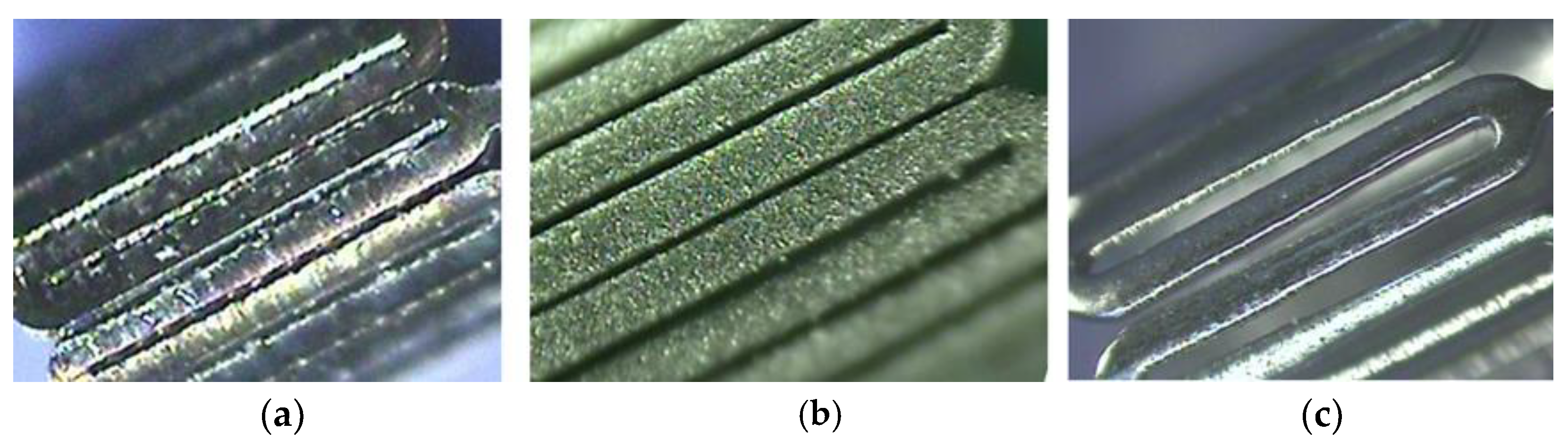 Bioengineering 10 00443 g014
