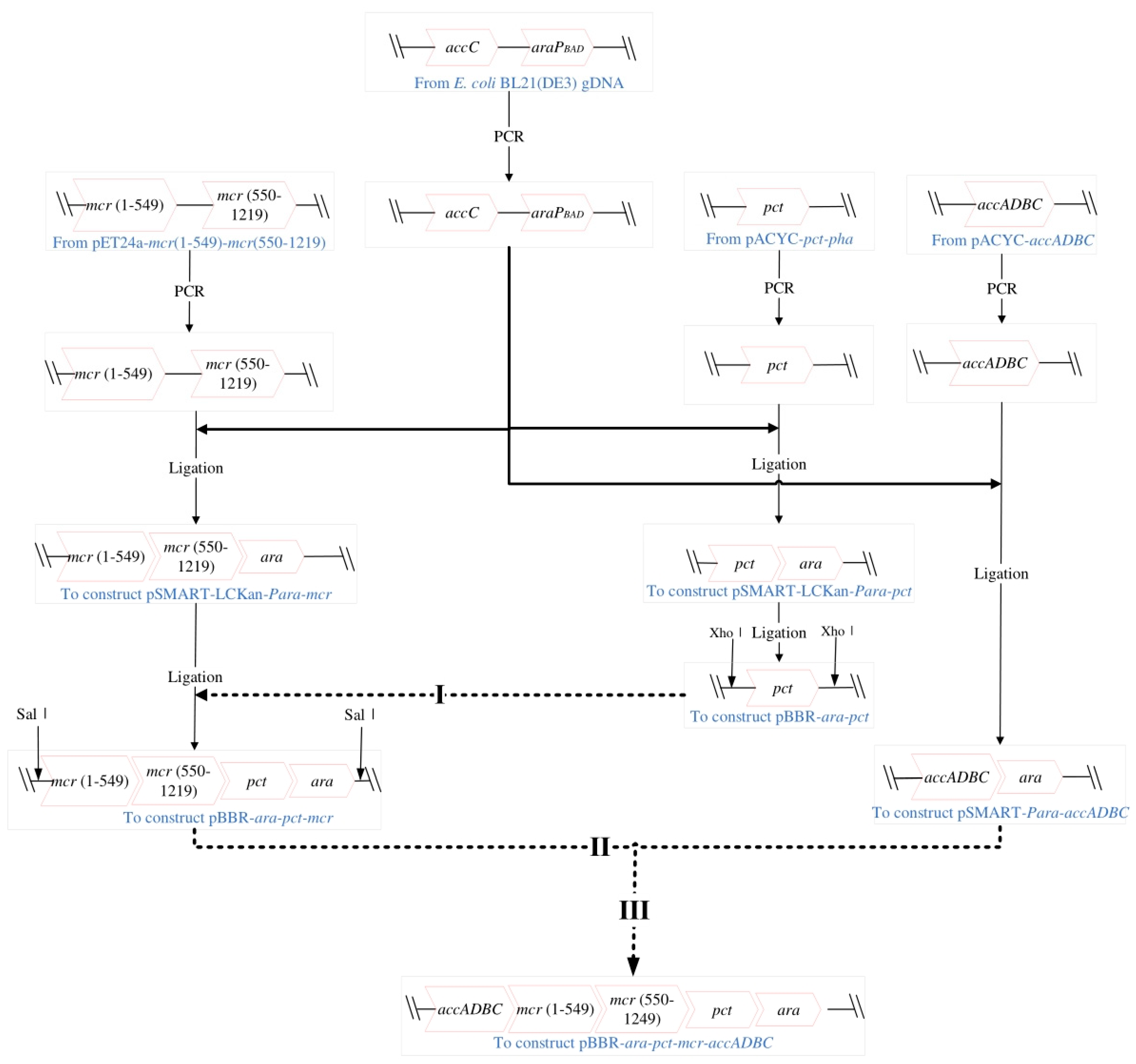 Bioengineering 10 00446 g001 Bioengineering 10 00446 g001