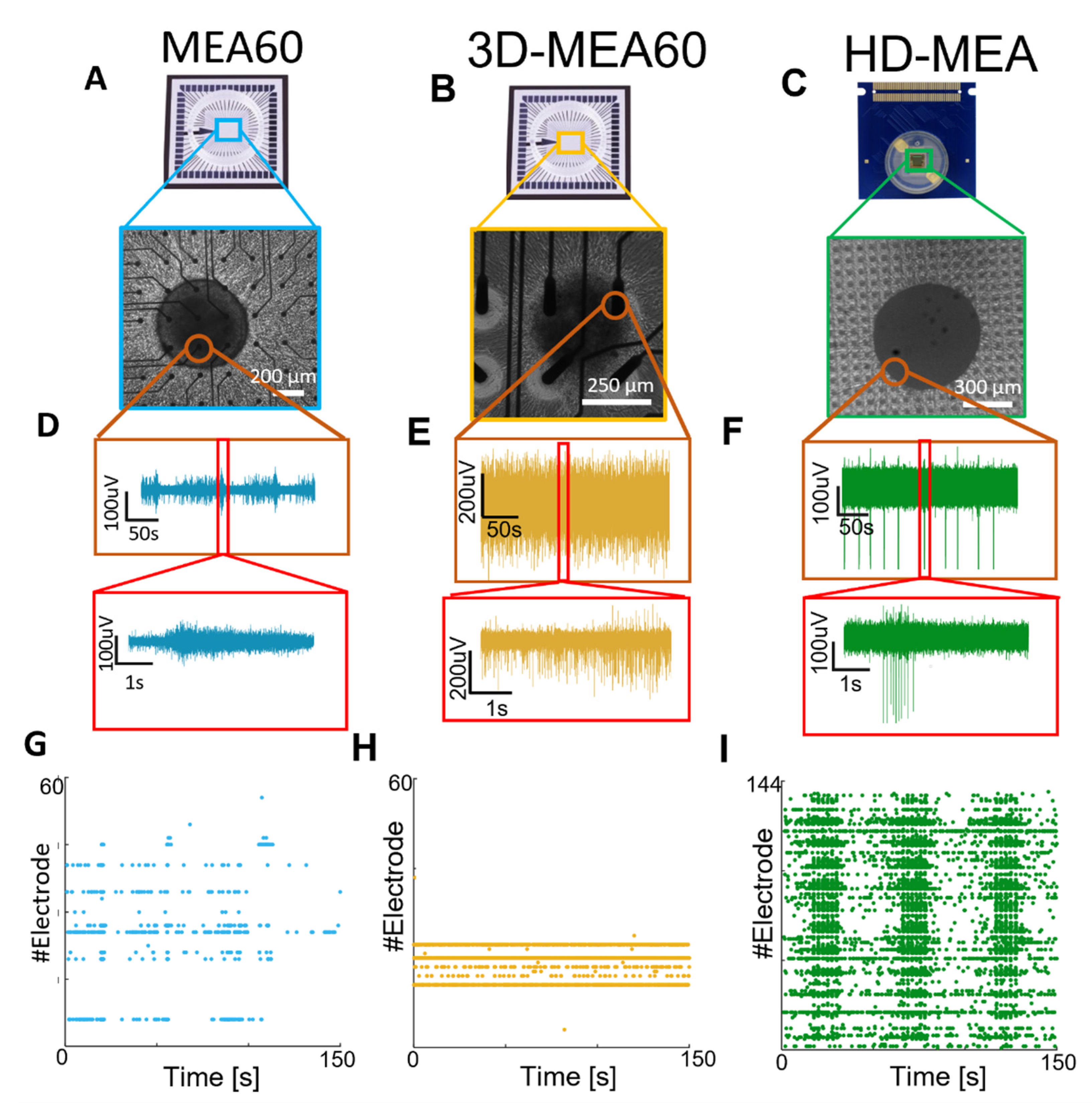 Bioengineering 10 00449 g003 Bioengineering 10 00449 g003