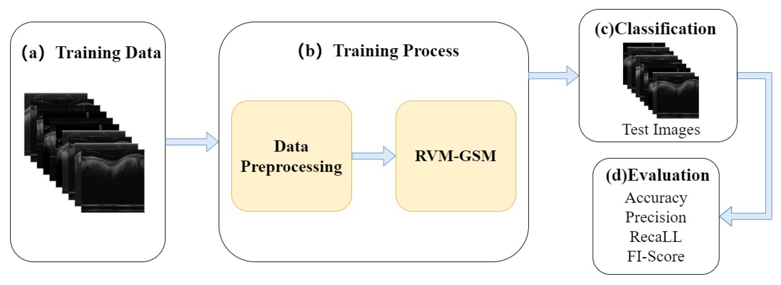 Bioengineering 10 00450 g001