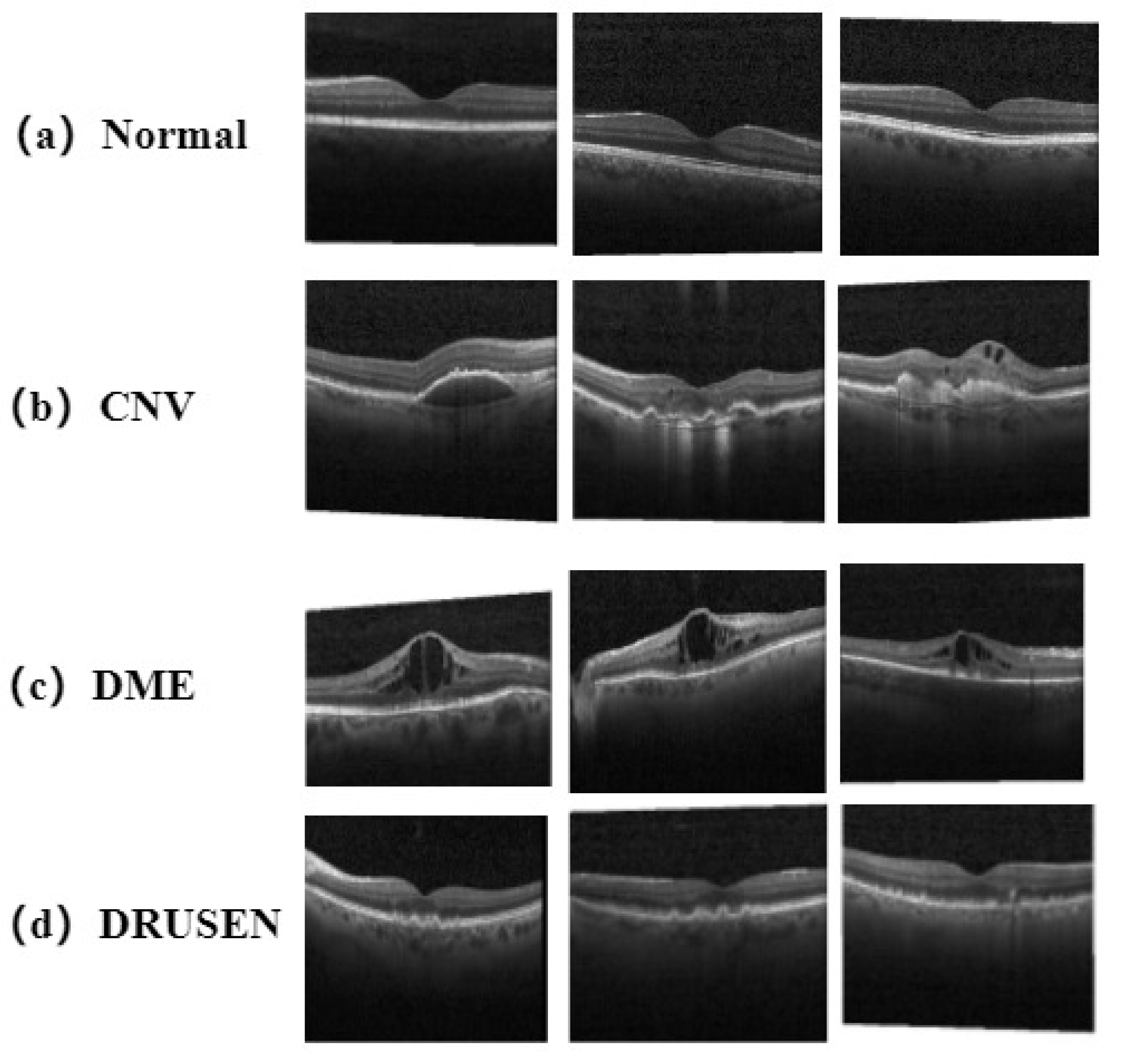 Bioengineering 10 00450 g008