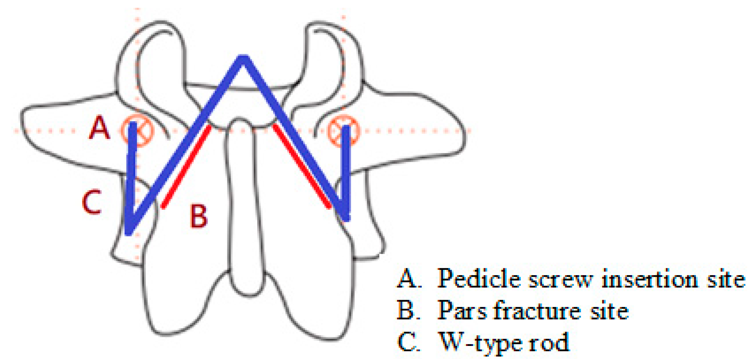 Bioengineering 10 00451 g001