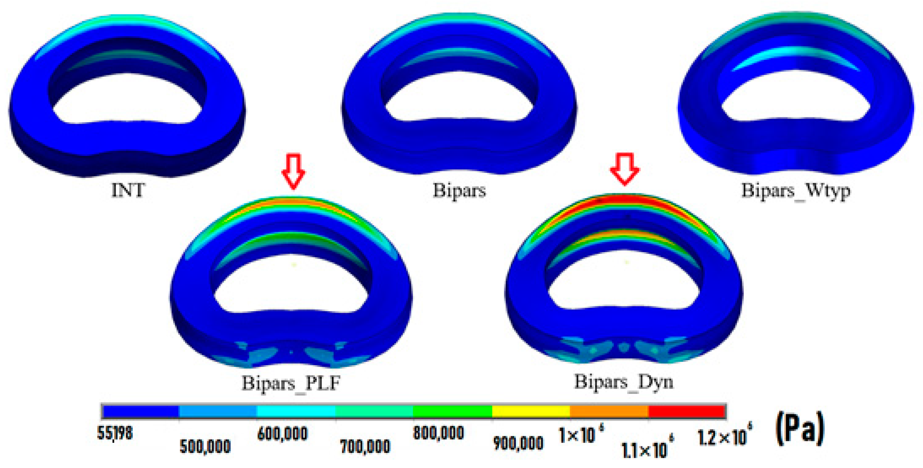 Bioengineering 10 00451 g005