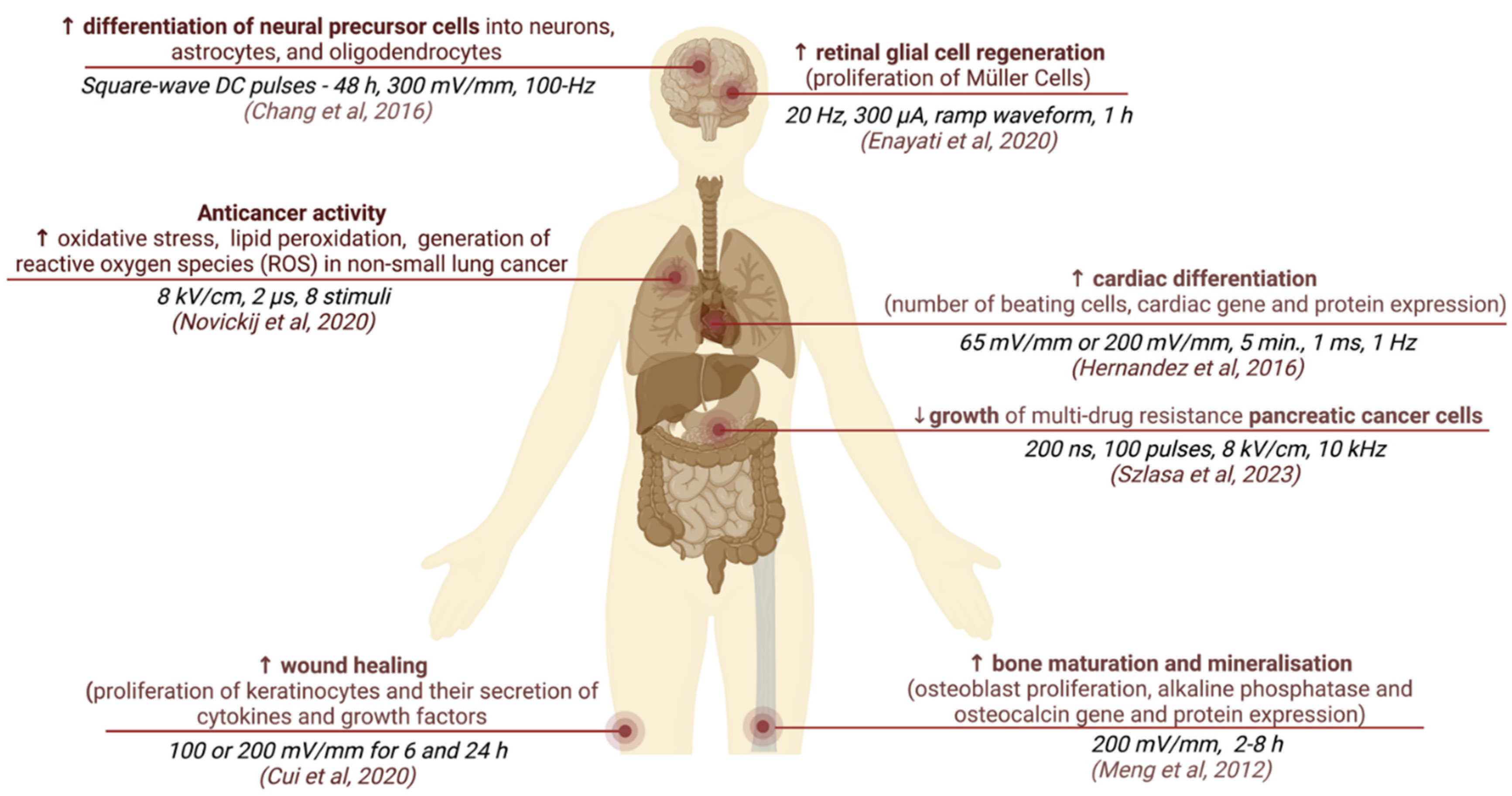 Bioengineering 10 00454 g003 Bioengineering 10 00454 g003