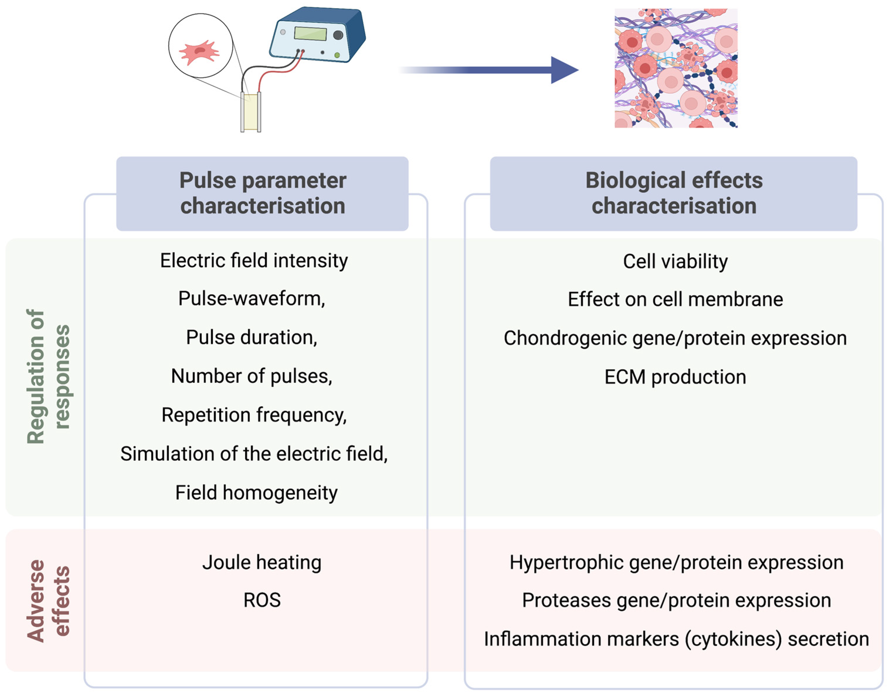 Bioengineering 10 00454 g005 Bioengineering 10 00454 g005