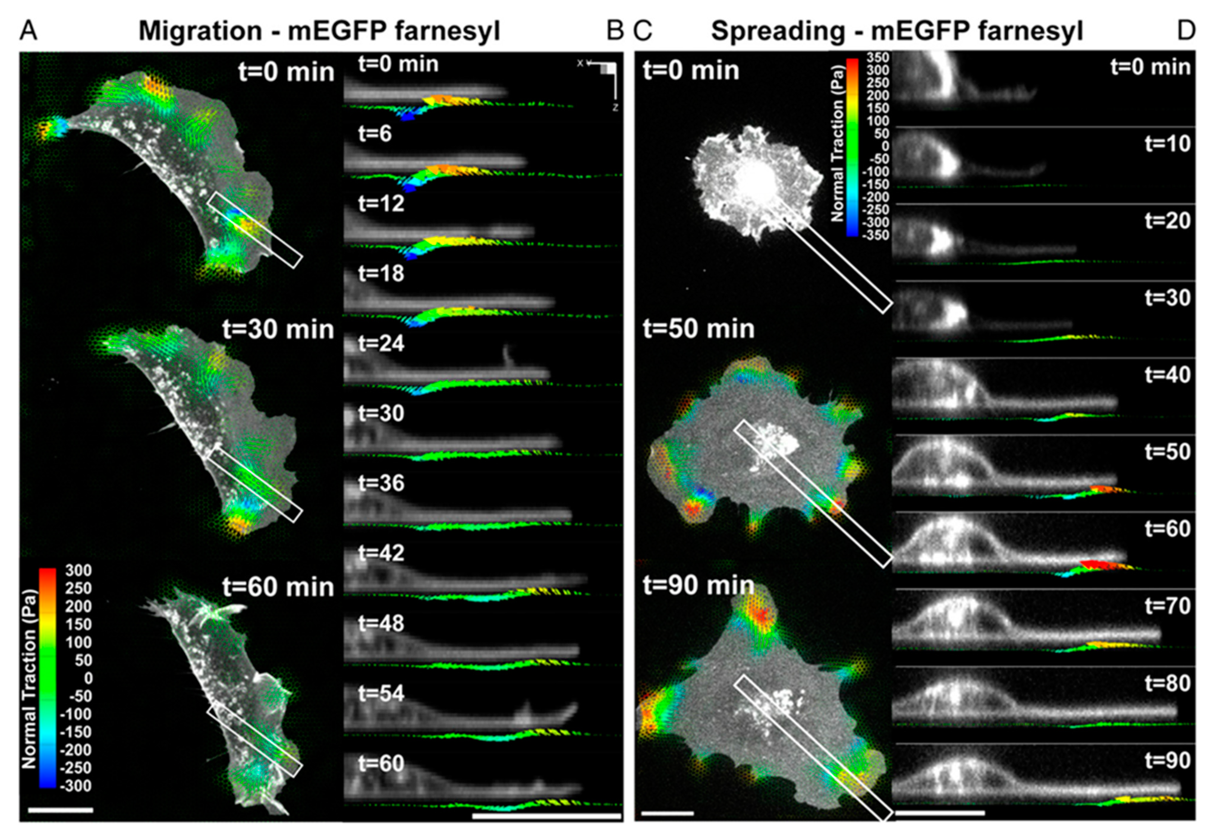 Bioengineering 10 00457 g006