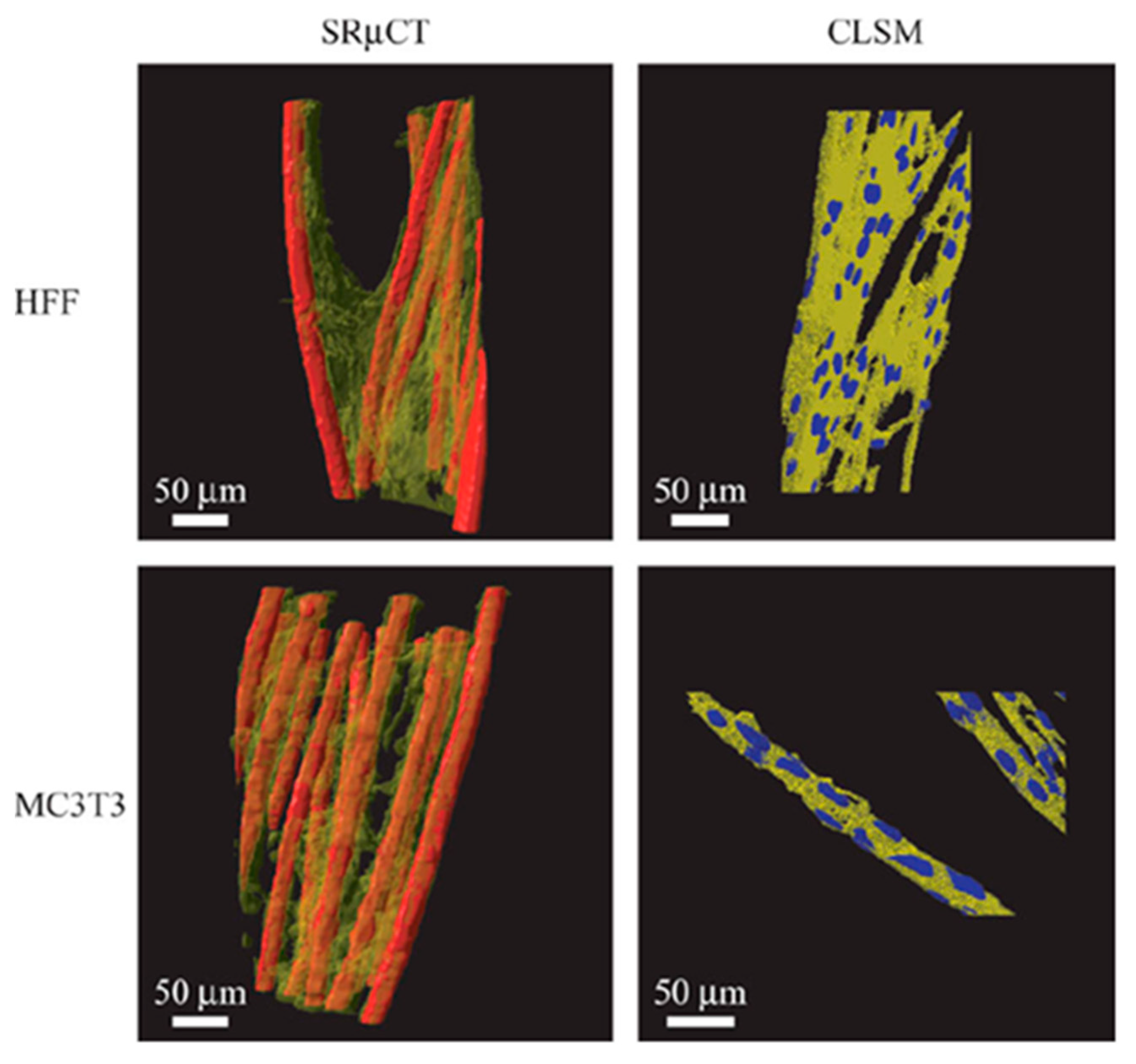 Bioengineering 10 00457 g007