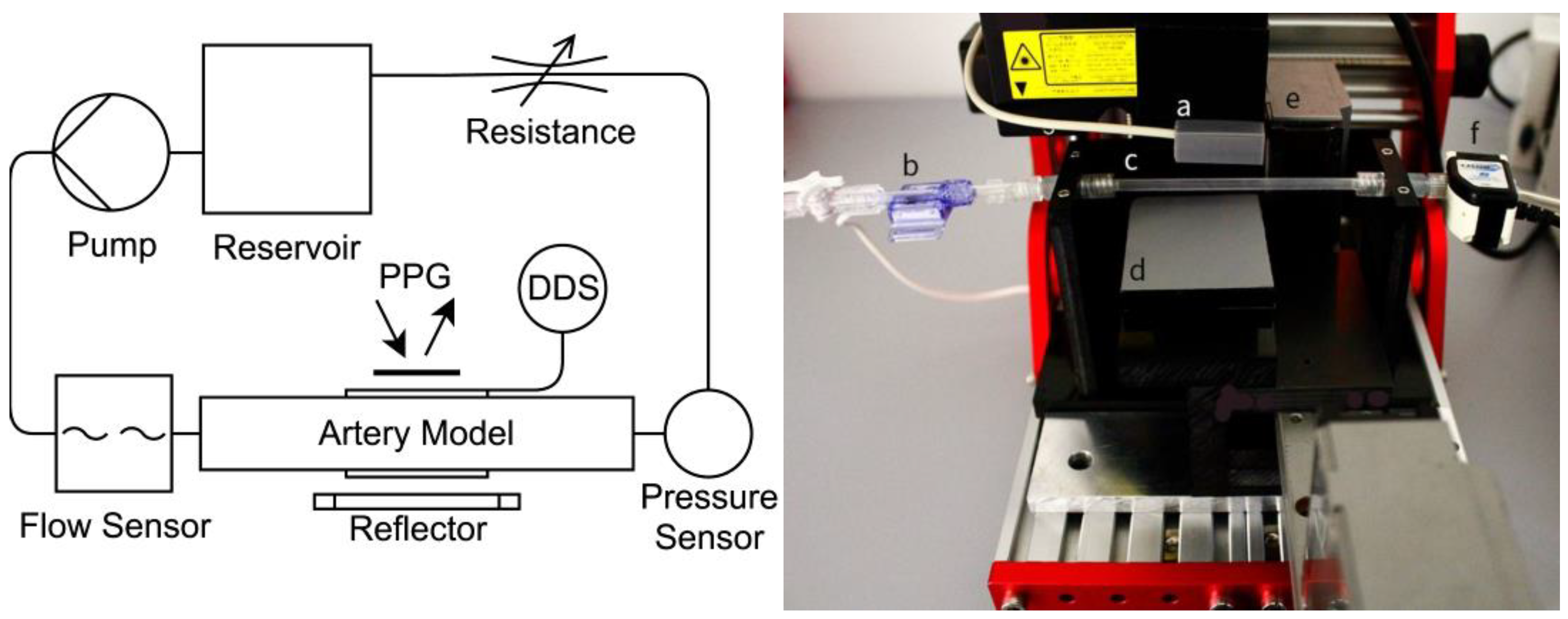 Bioengineering 10 00460 g001 Bioengineering 10 00460 g001