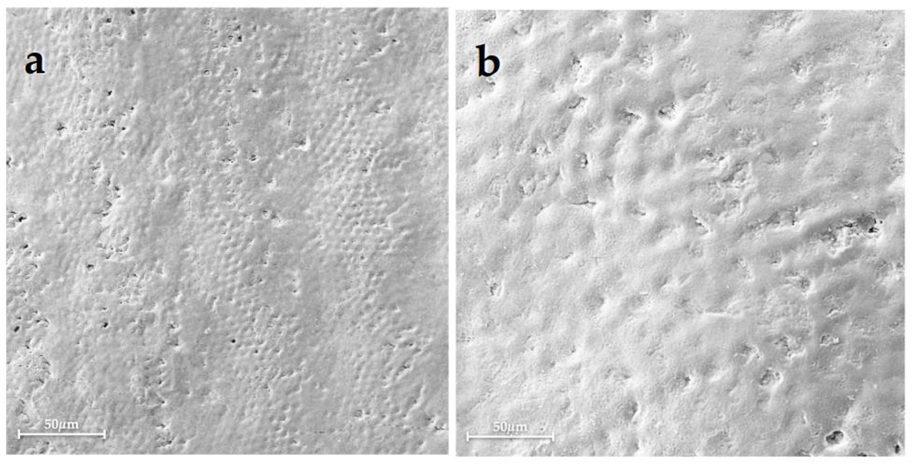 Bioengineering 10 00462 g001