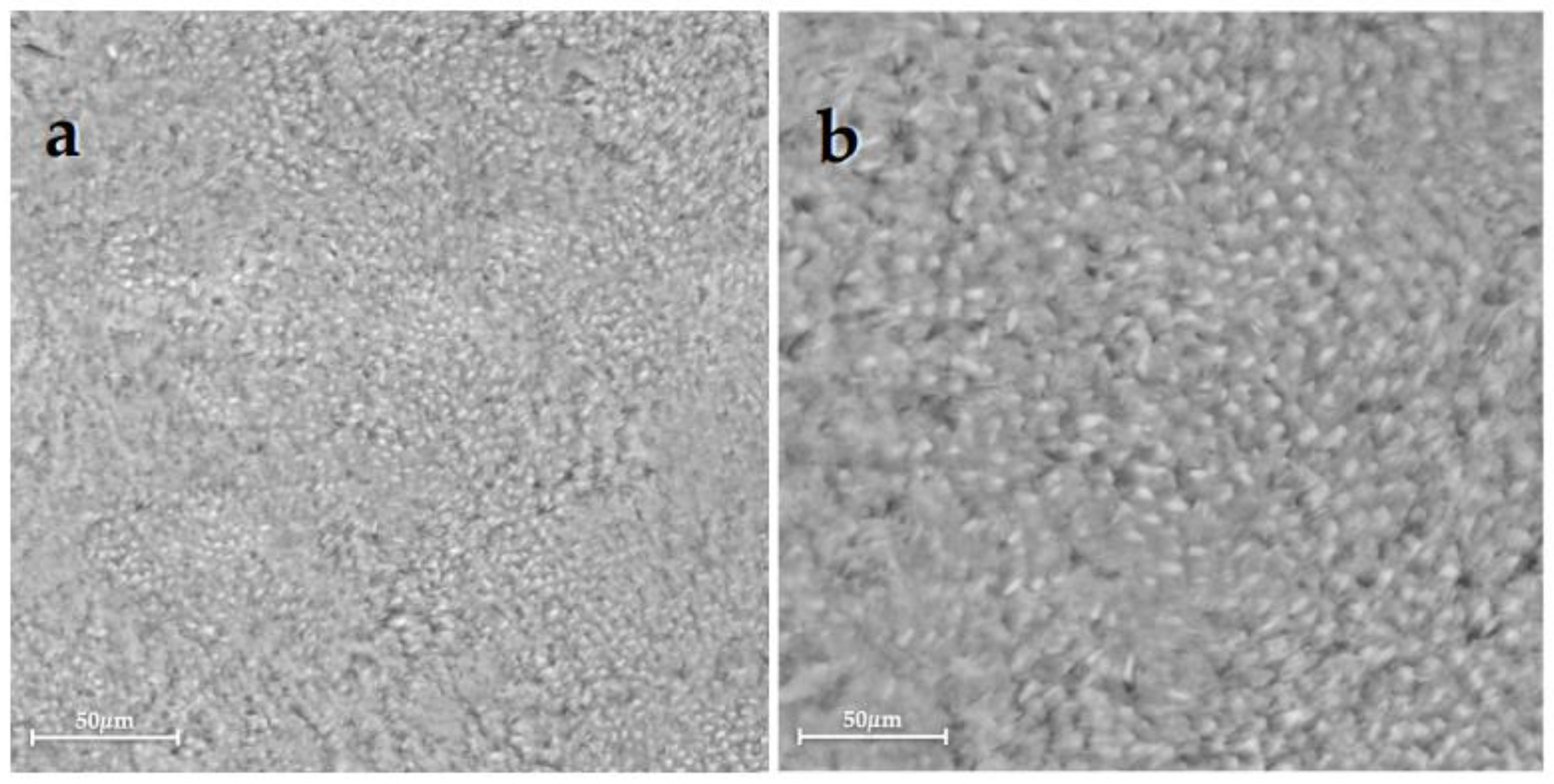 Bioengineering 10 00462 g004