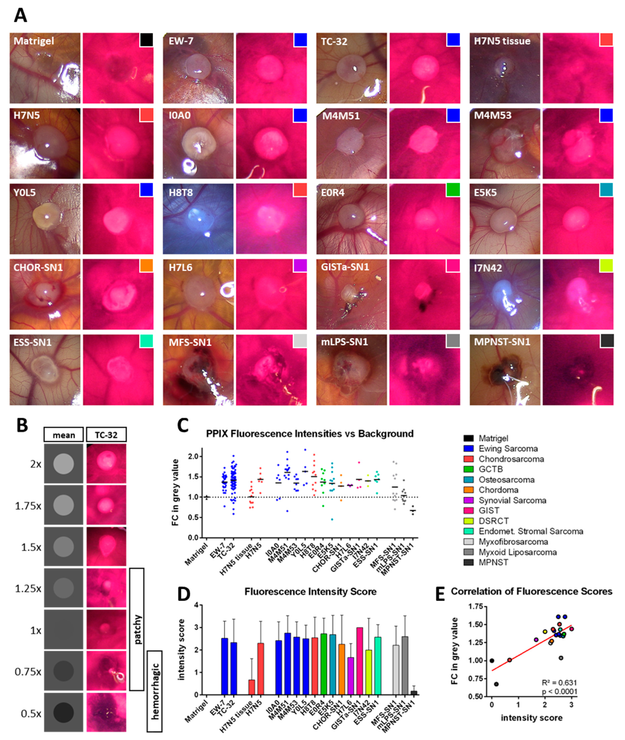 Bioengineering 10 00464 g001 Bioengineering 10 00464 g001