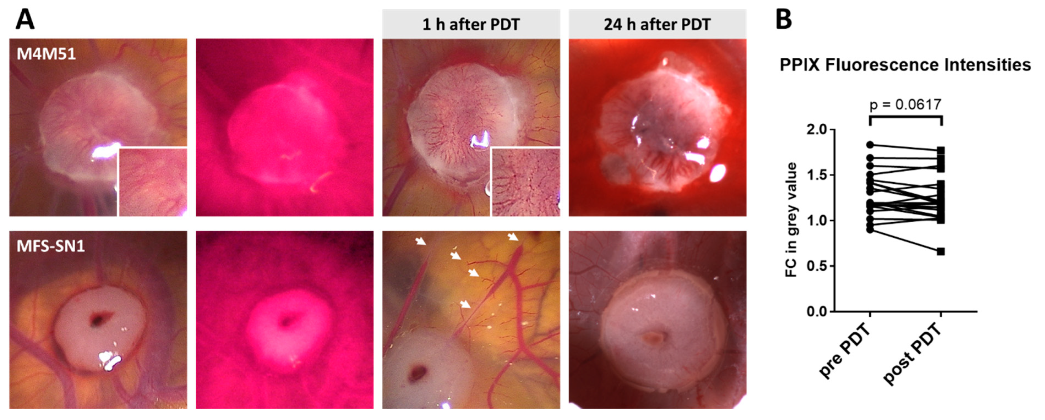 Bioengineering 10 00464 g002 Bioengineering 10 00464 g002