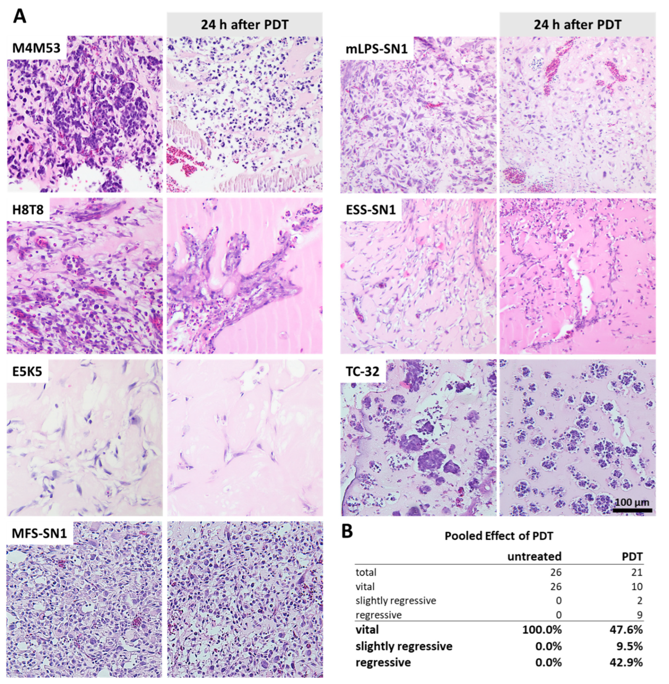 Bioengineering 10 00464 g003 Bioengineering 10 00464 g003
