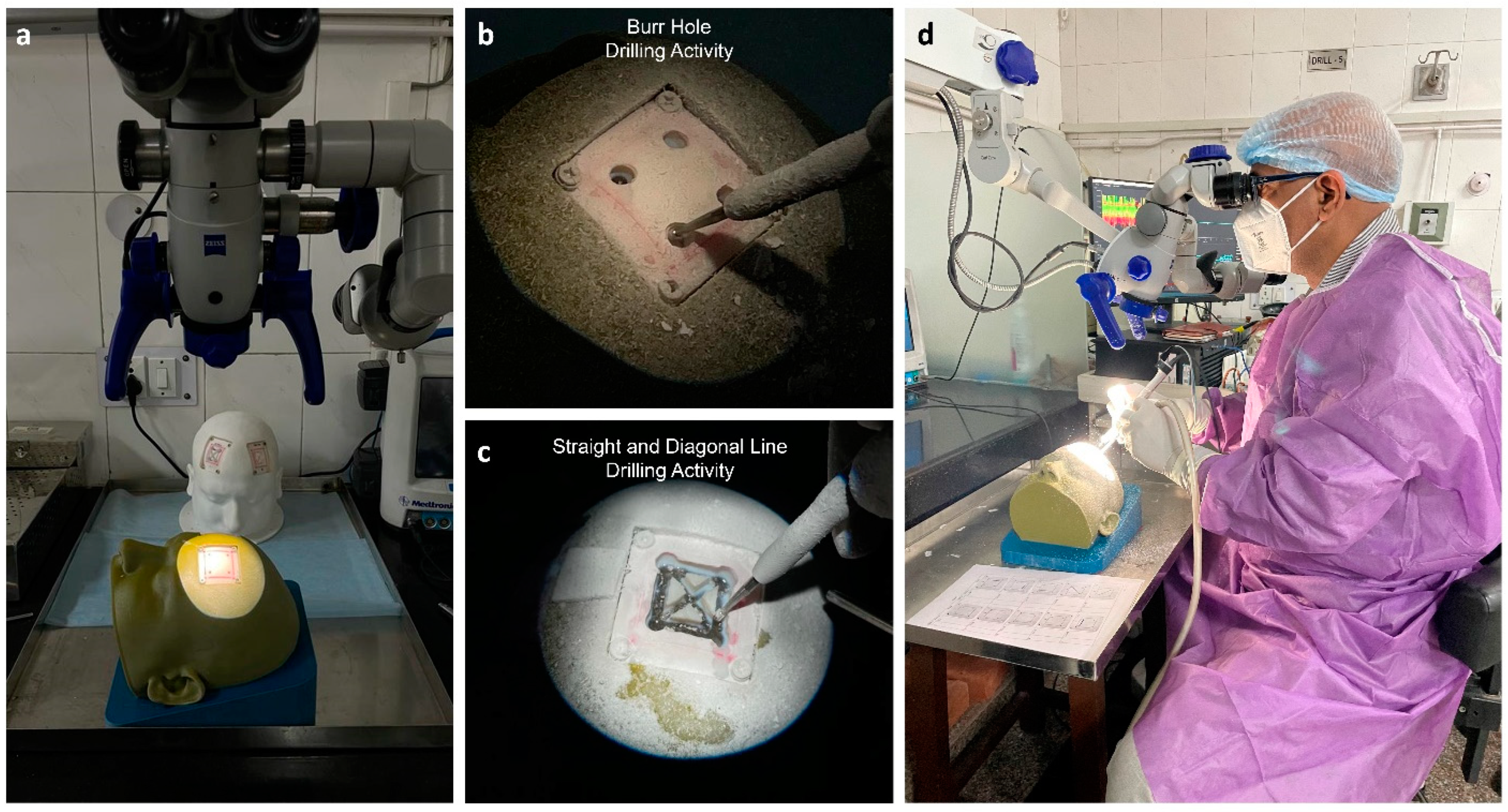Bioengineering 10 00465 g003