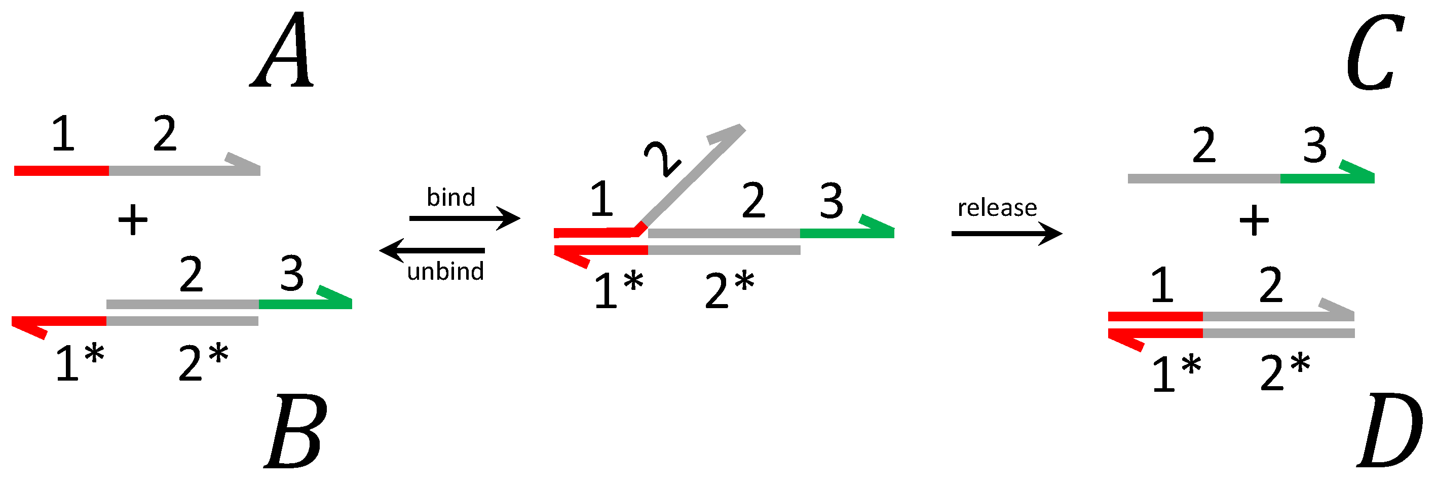 Bioengineering 10 00466 g003
