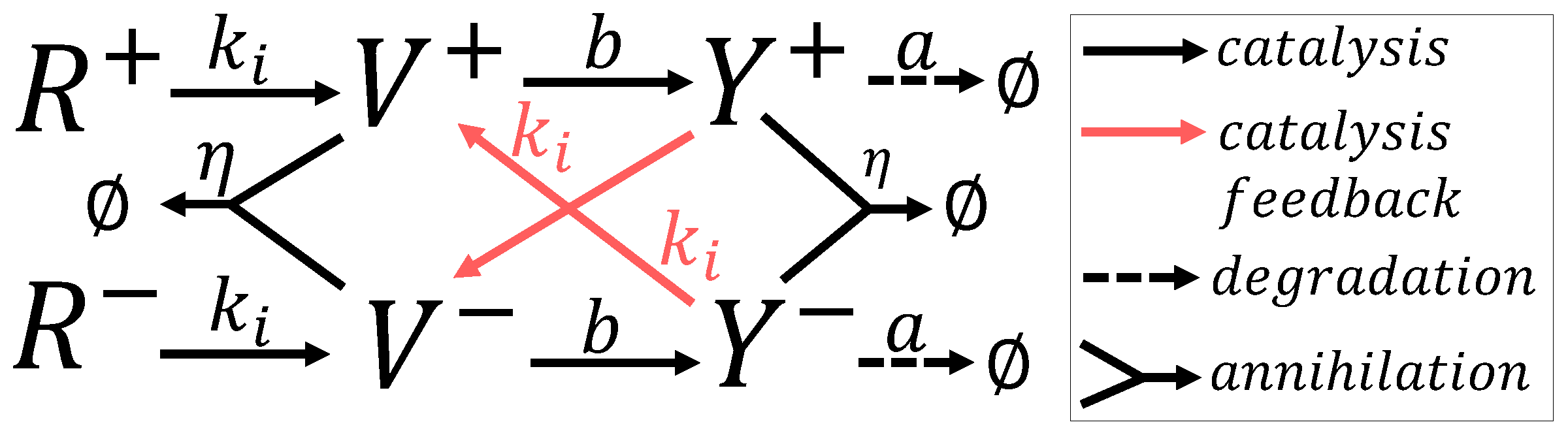 Bioengineering 10 00466 g005