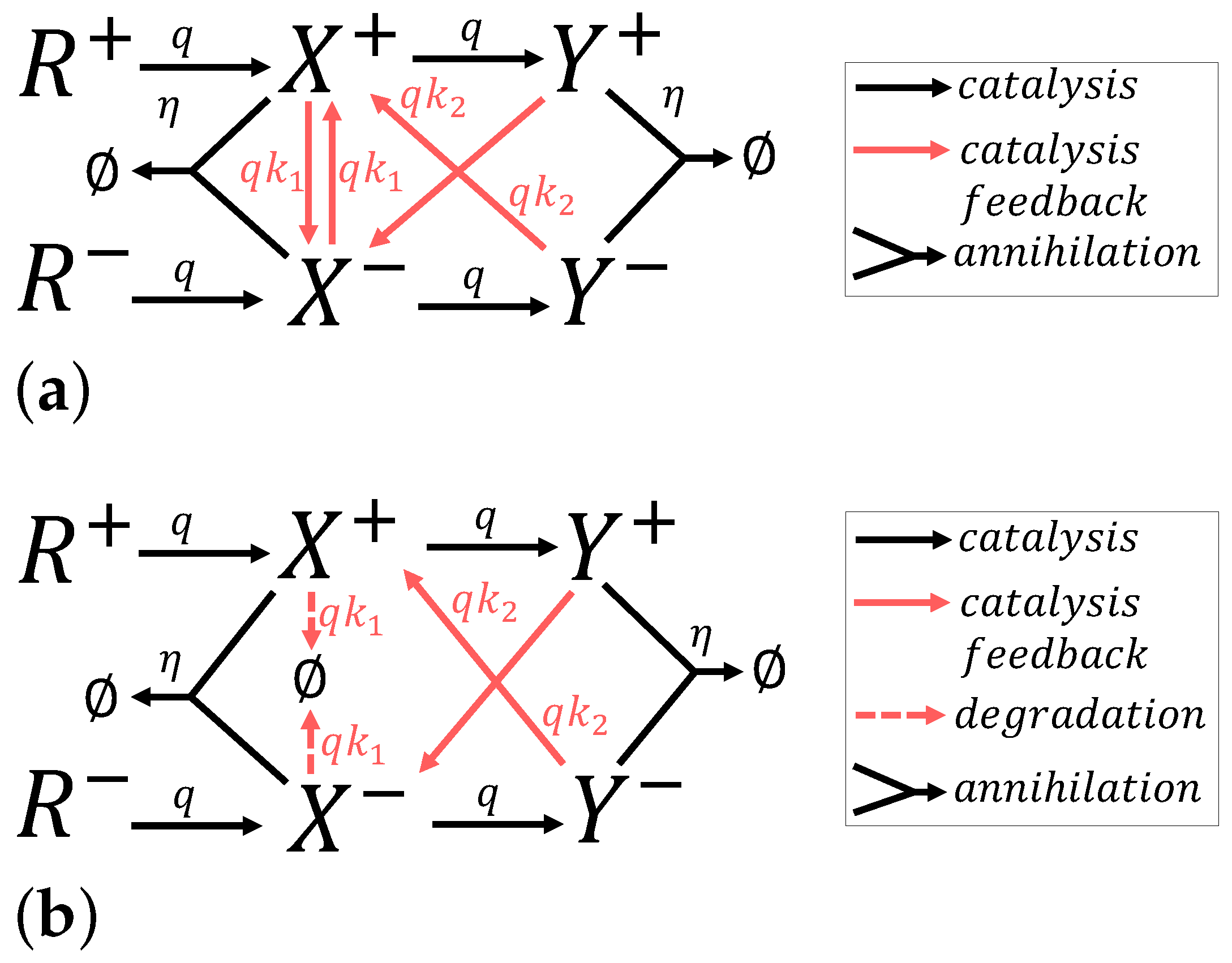 Bioengineering 10 00466 g013