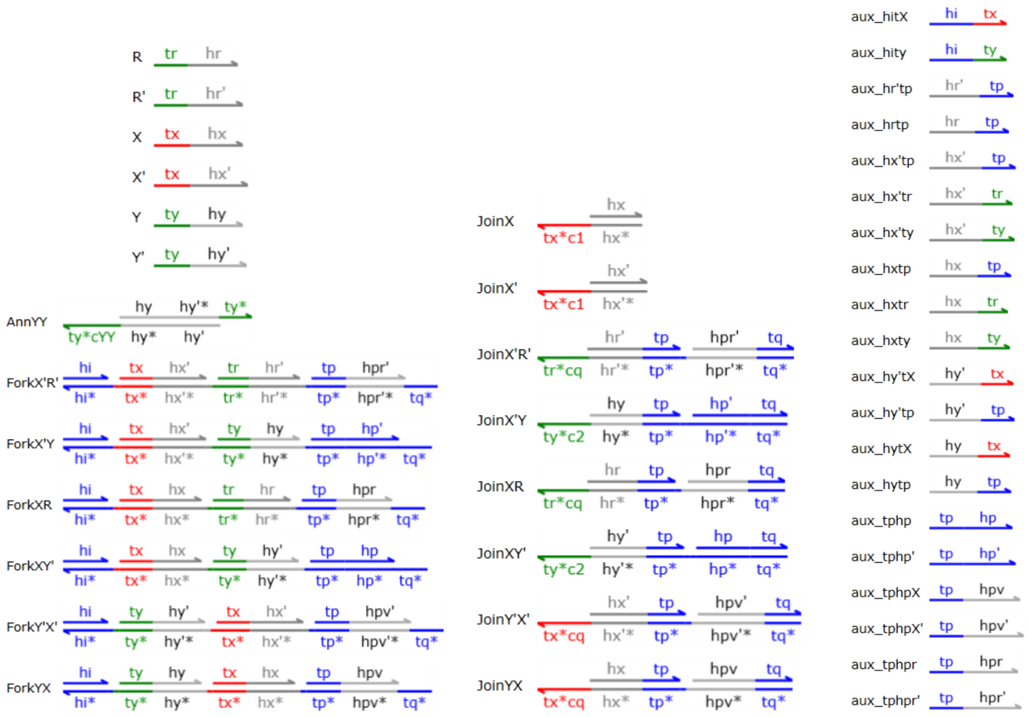 Bioengineering 10 00466 g015